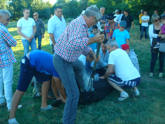 Ferrade 2013 016