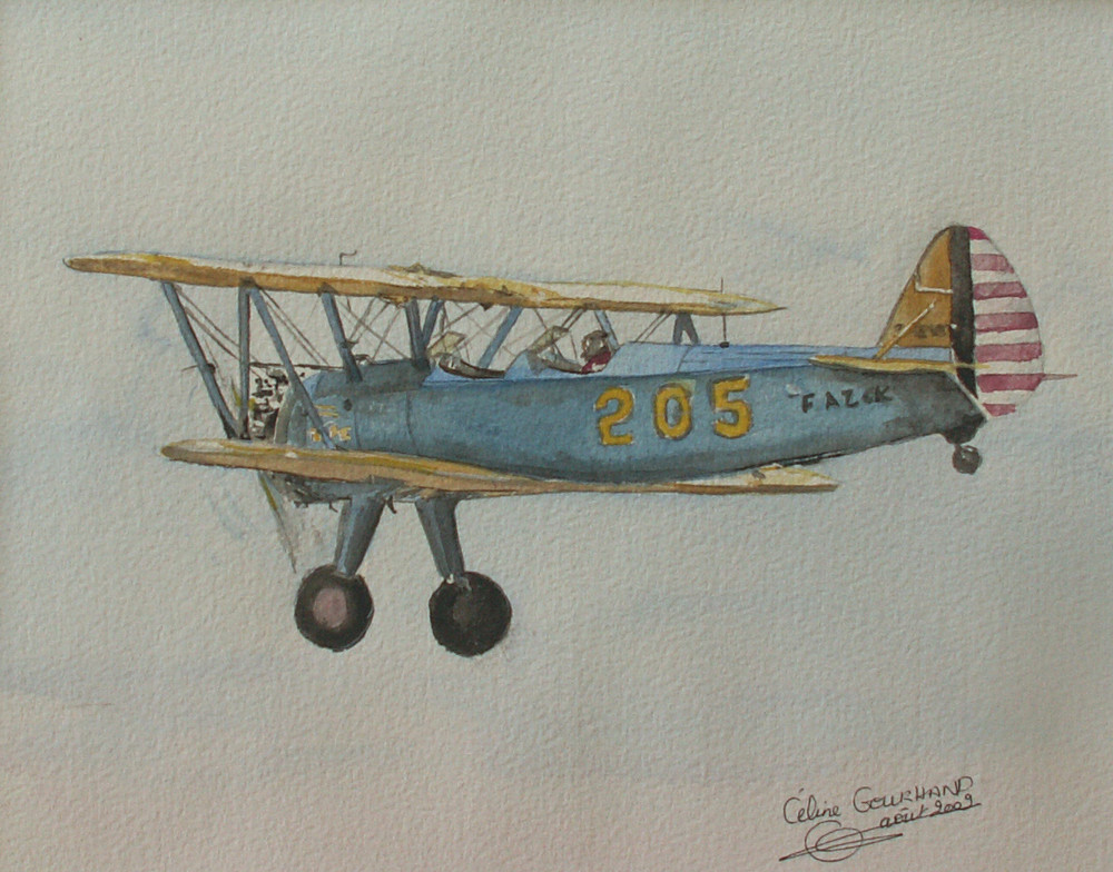 040 avion bleu