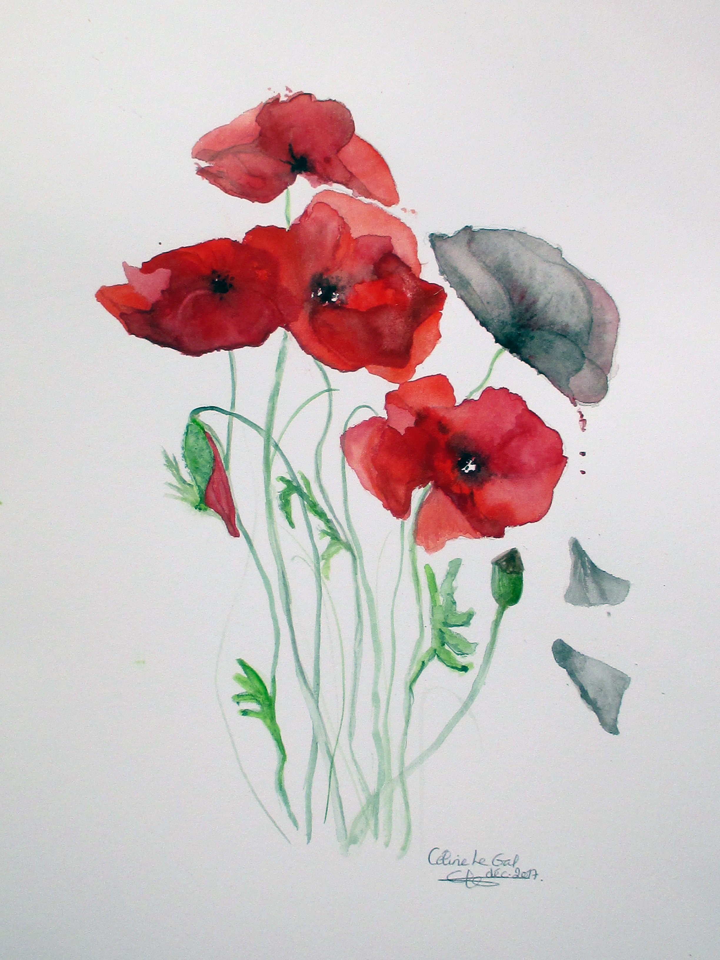 Just different clg2017