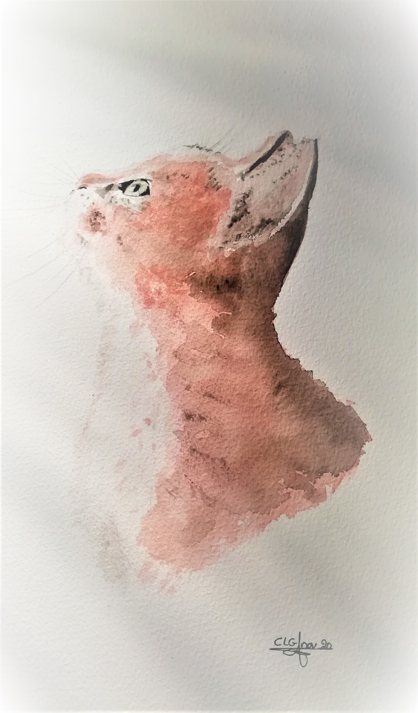 Chat aquarellecelinelegal nov20