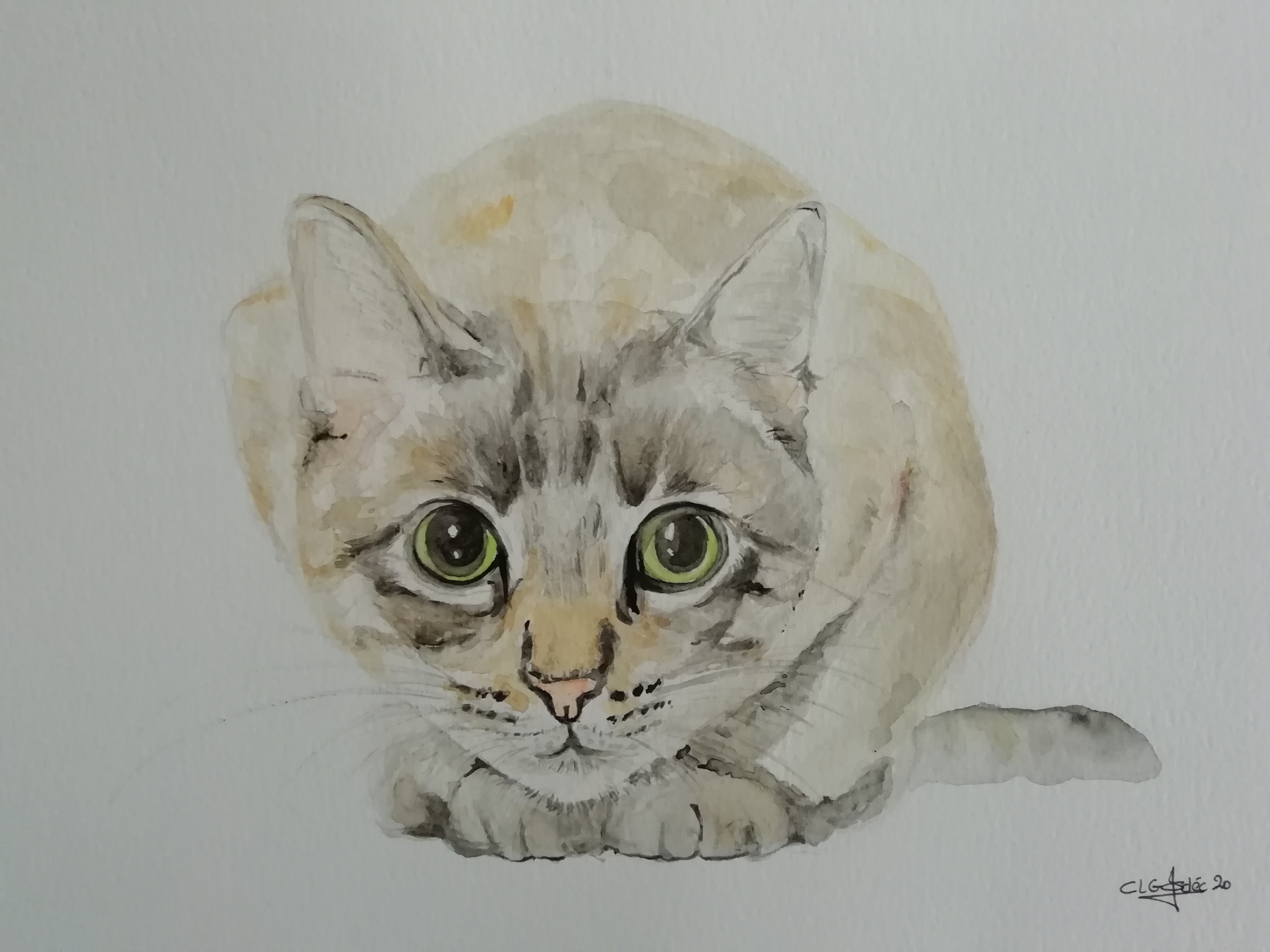 Chatvousregarde clg122020