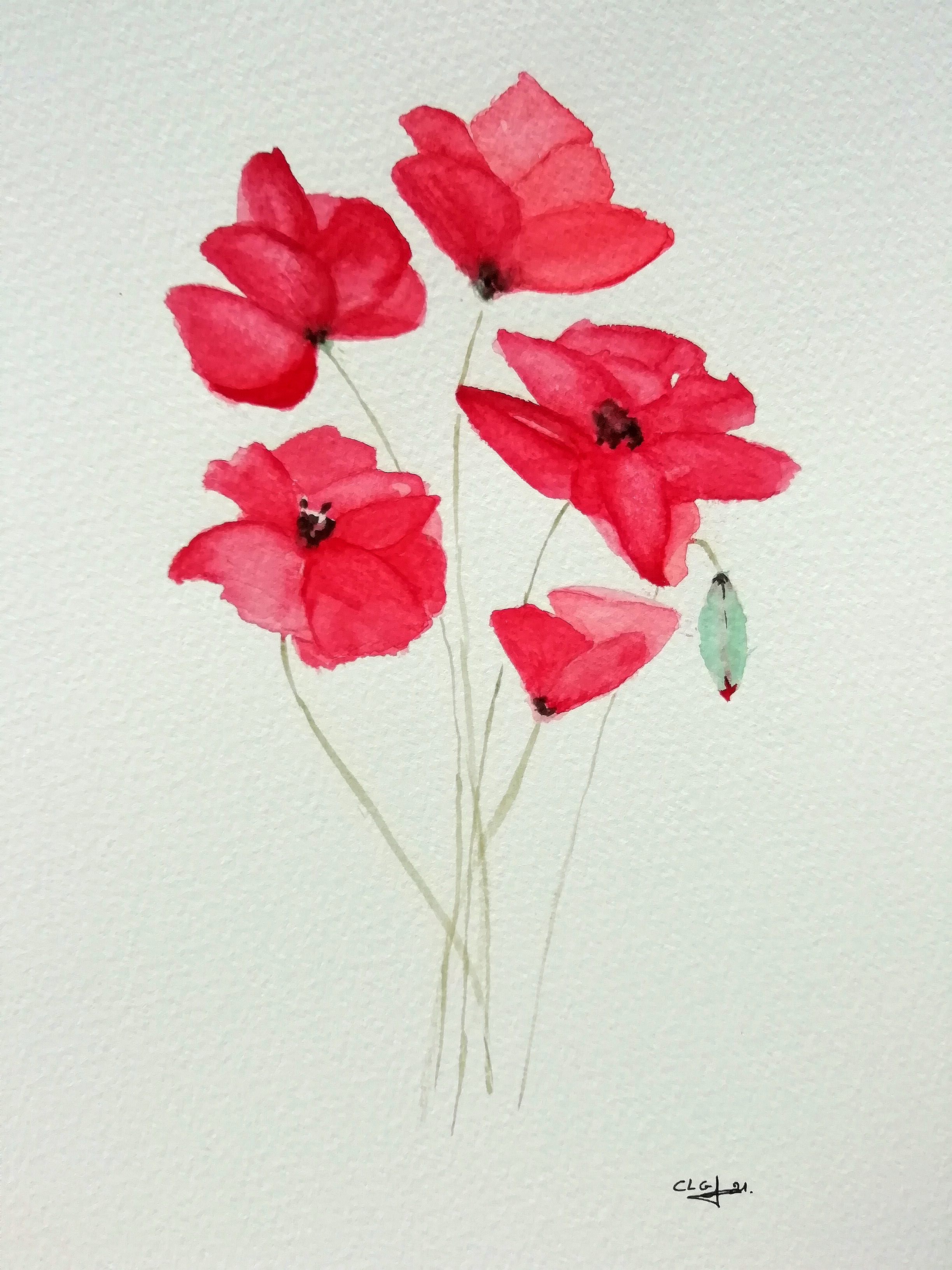 Gentilscoquelicots 20210410 clg