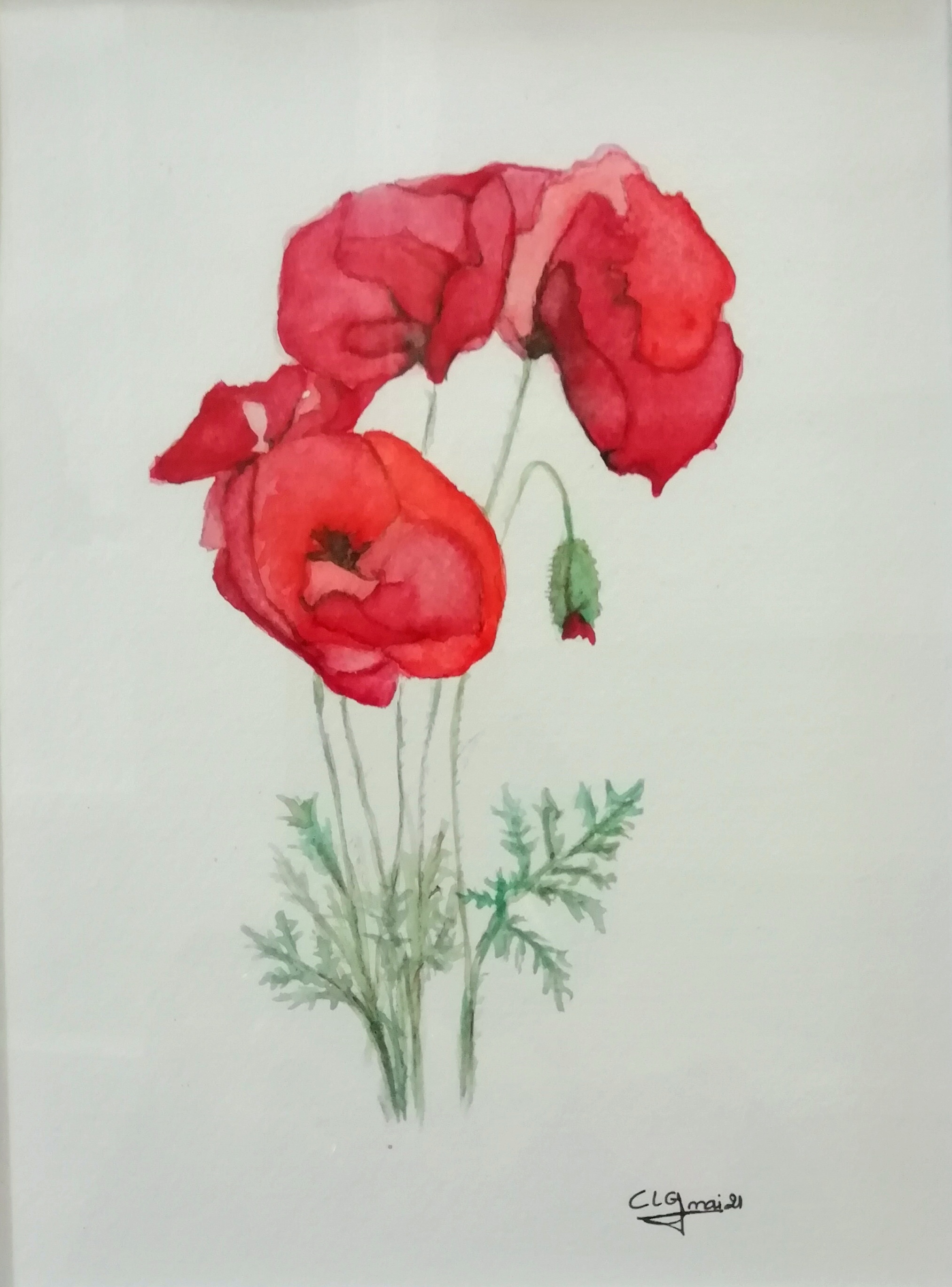 Coquelicots 20210518 clgcupoftea