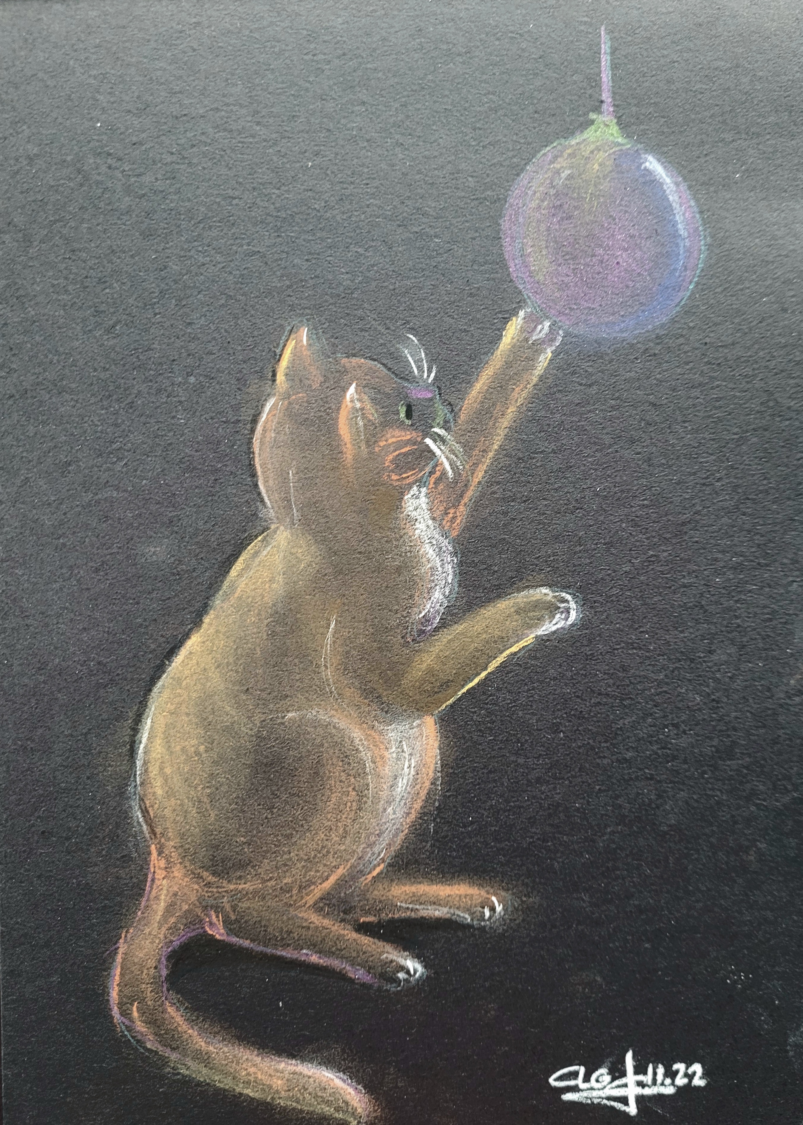 20221220 chatonnoel clgcupoftea