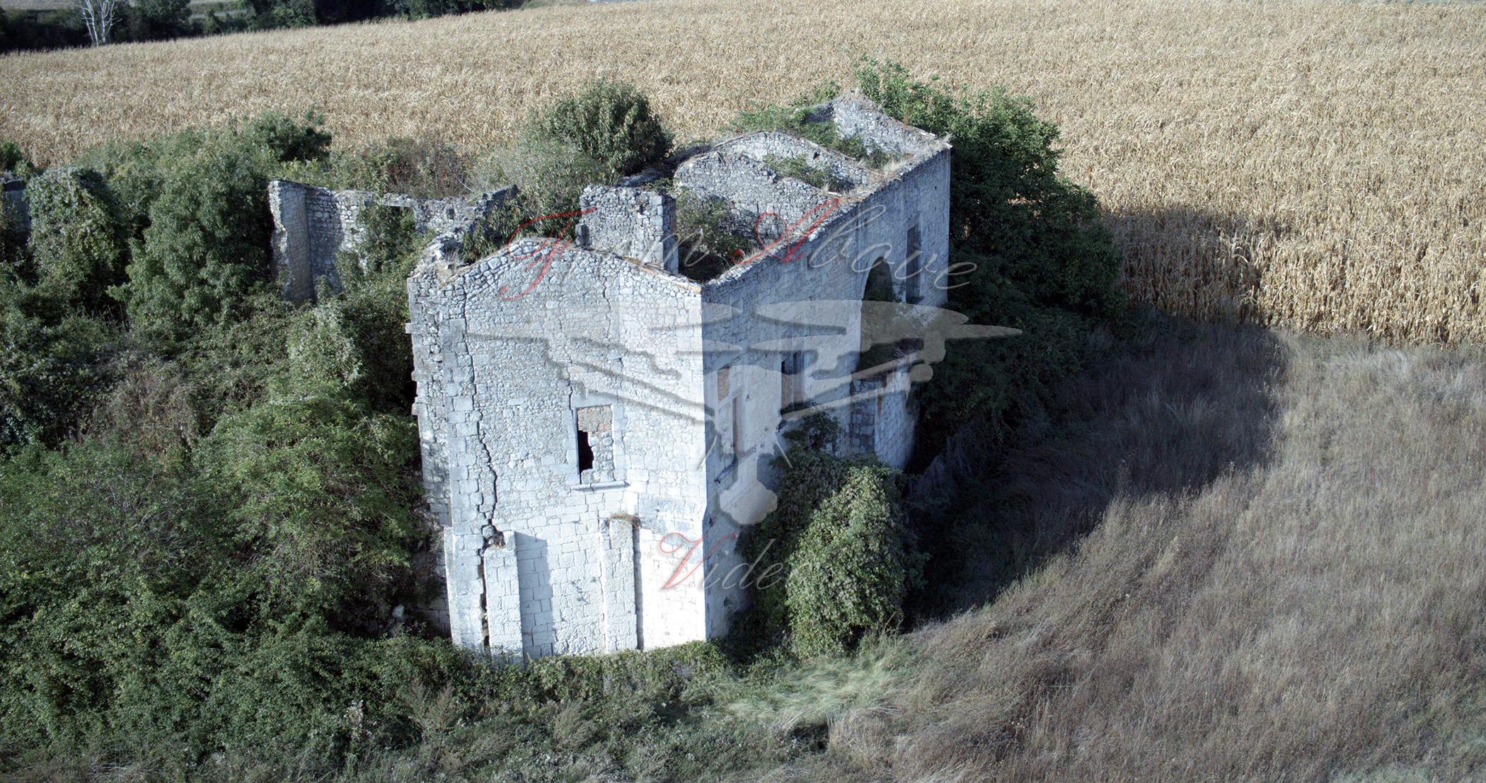 Bardine 3