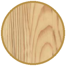 19 pin sylvestre lca incolore