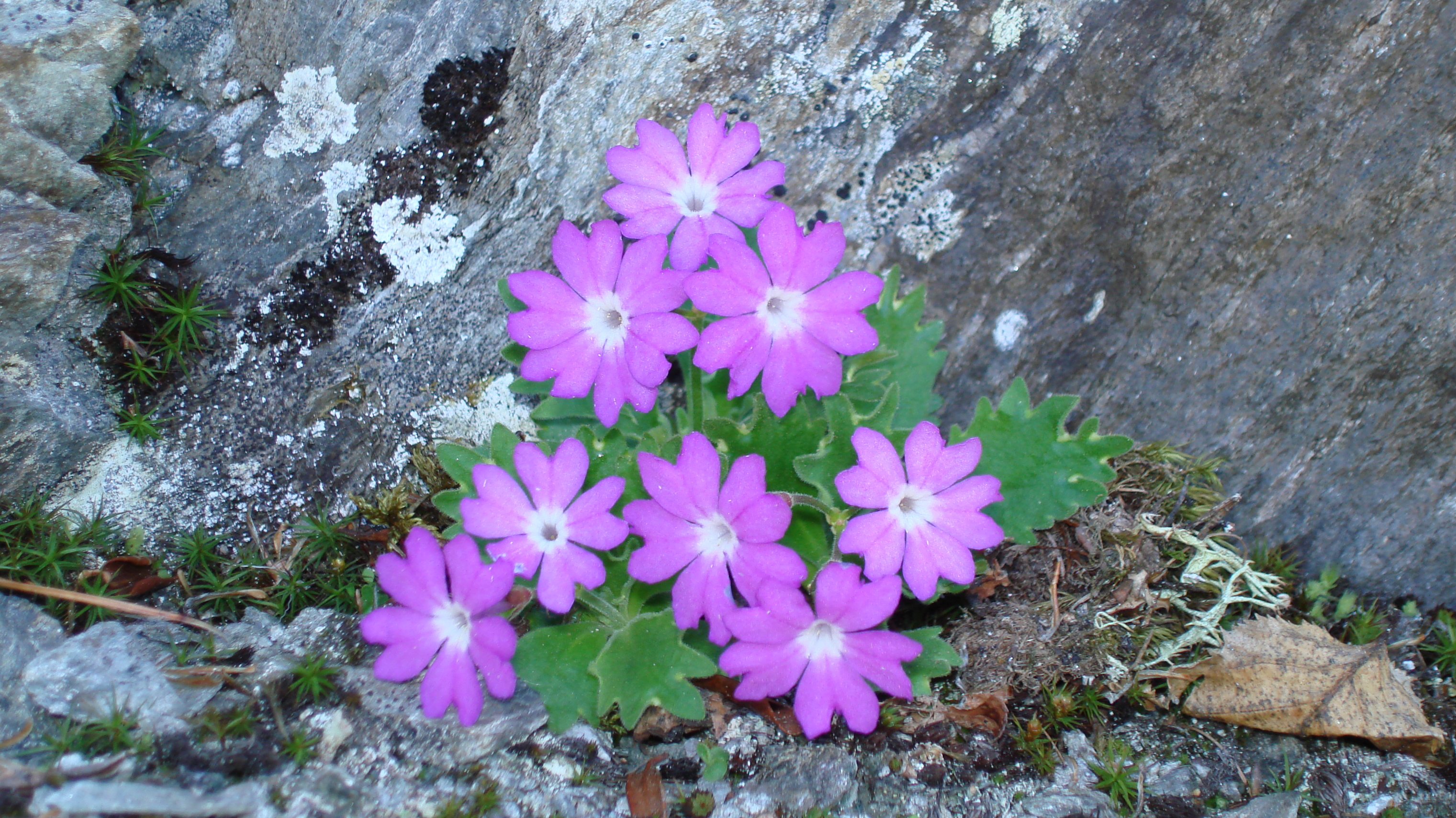 DSC04287 1