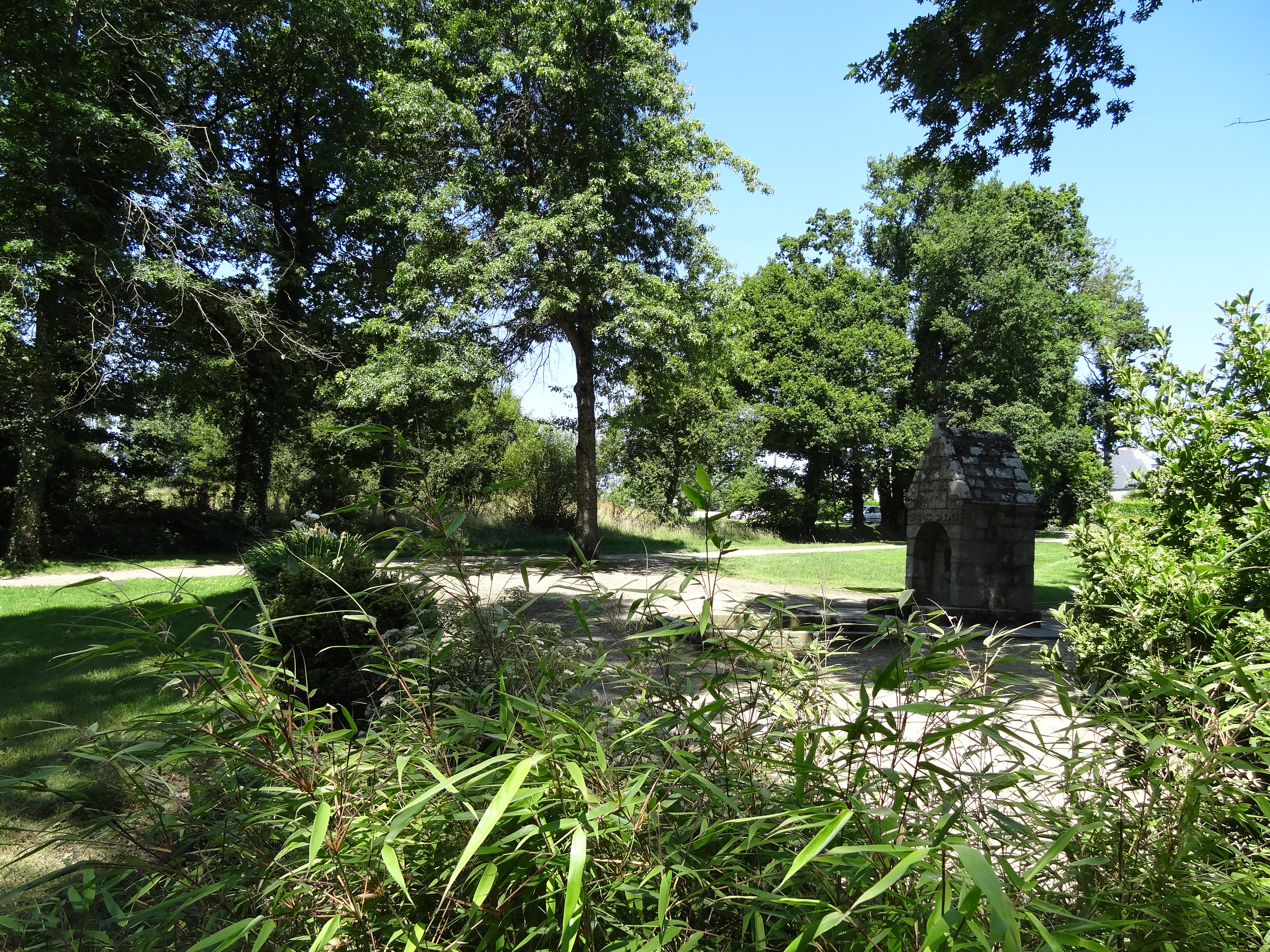 Nettoyage fontaine 06 07 2019 66 