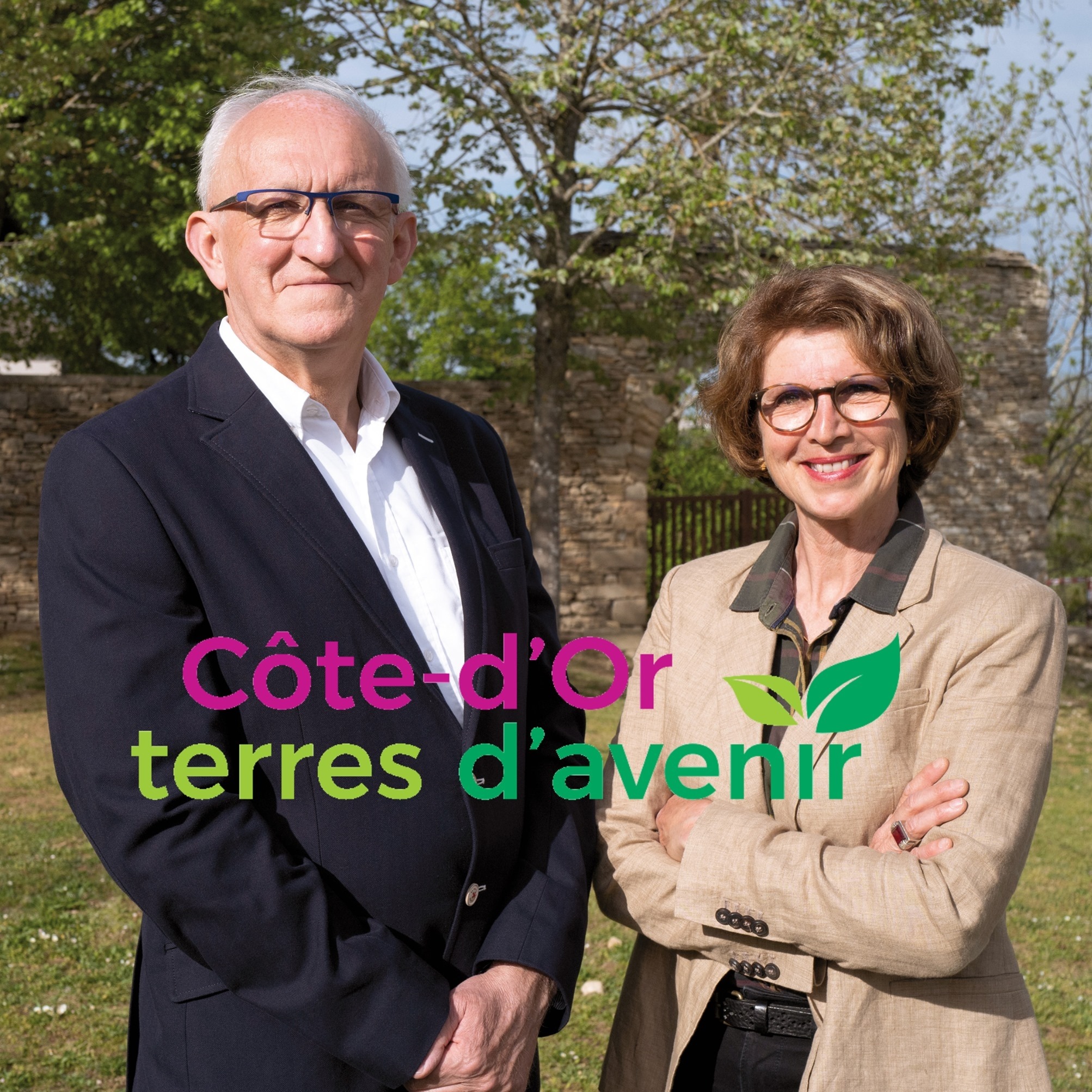 Elections départementales
