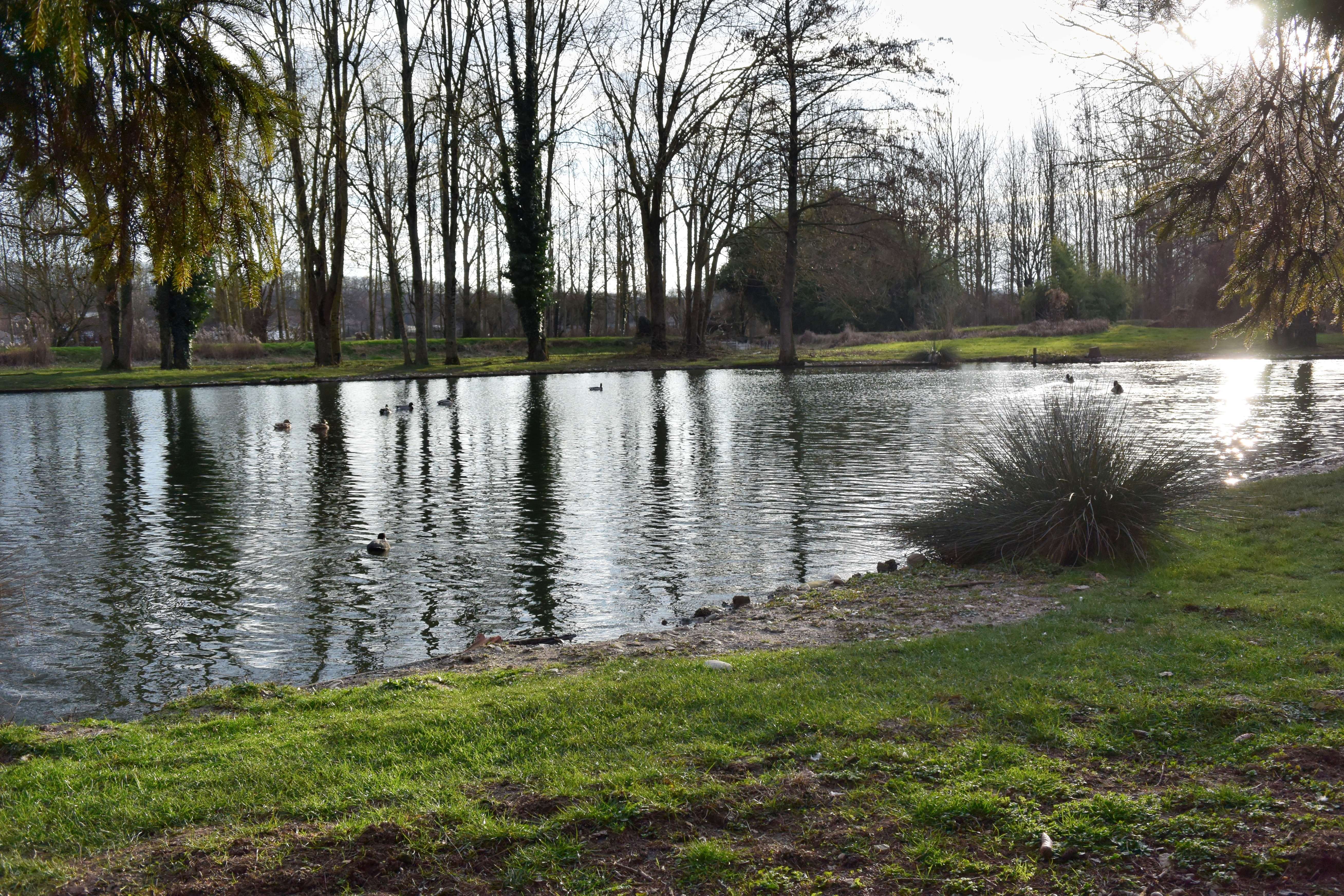 Fontaine 22 10022018