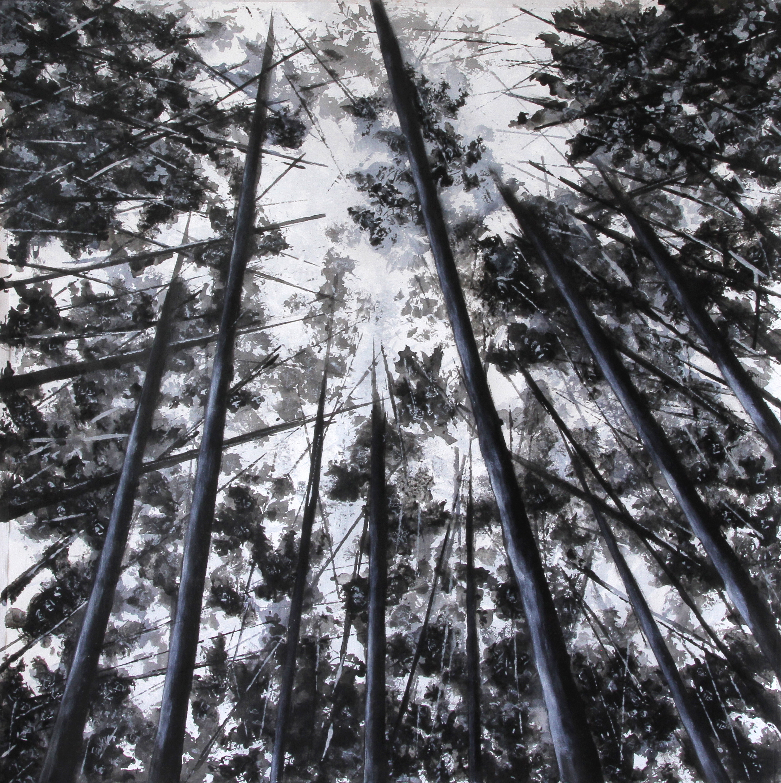 10 sous frondaisons fore ts 2