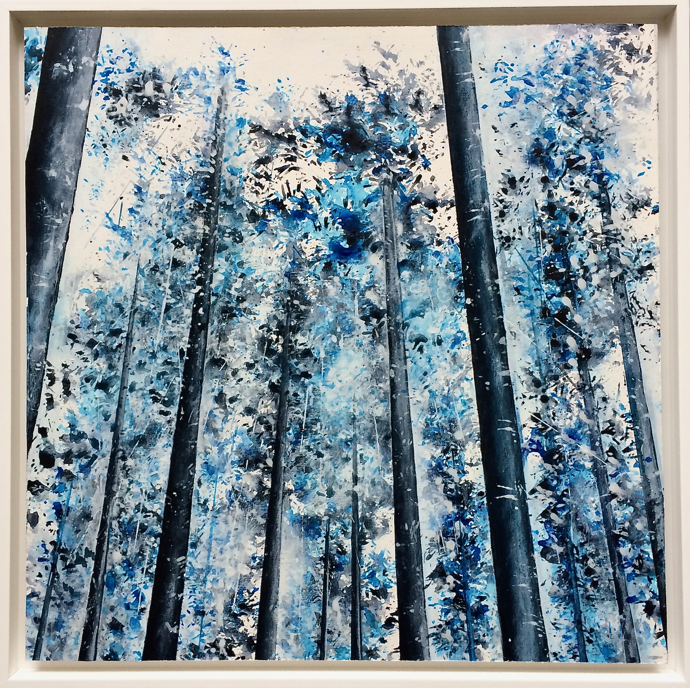 08 morning vibrations img 0826