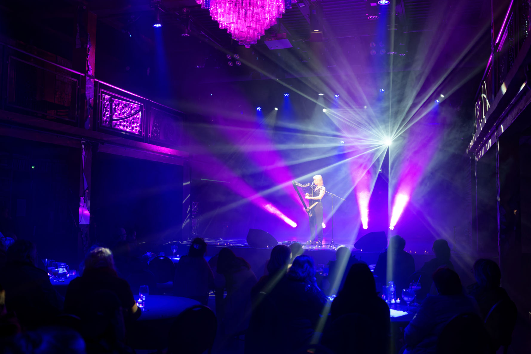 Photo de concert francoeur studiophoto89 13