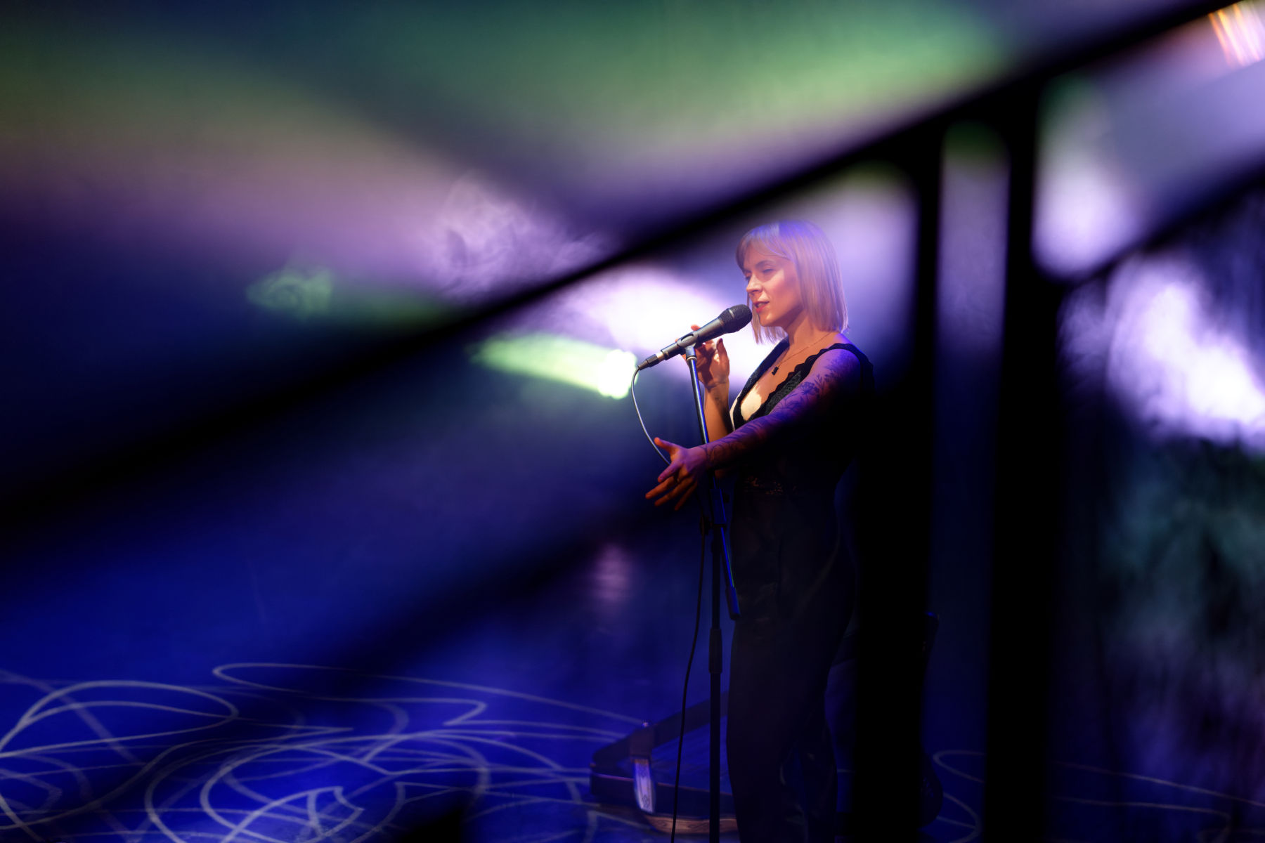 Photo de concert francoeur studiophoto89 03