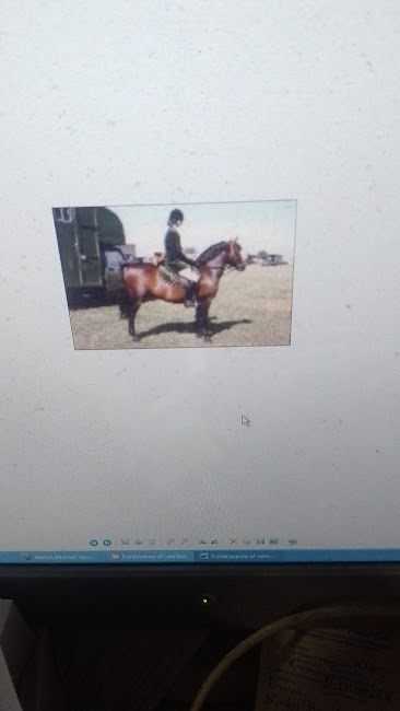 Img 20250416 wa0007