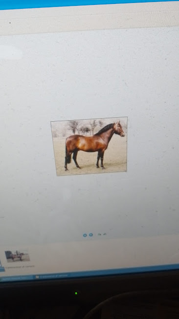 Img 20250416 wa0005