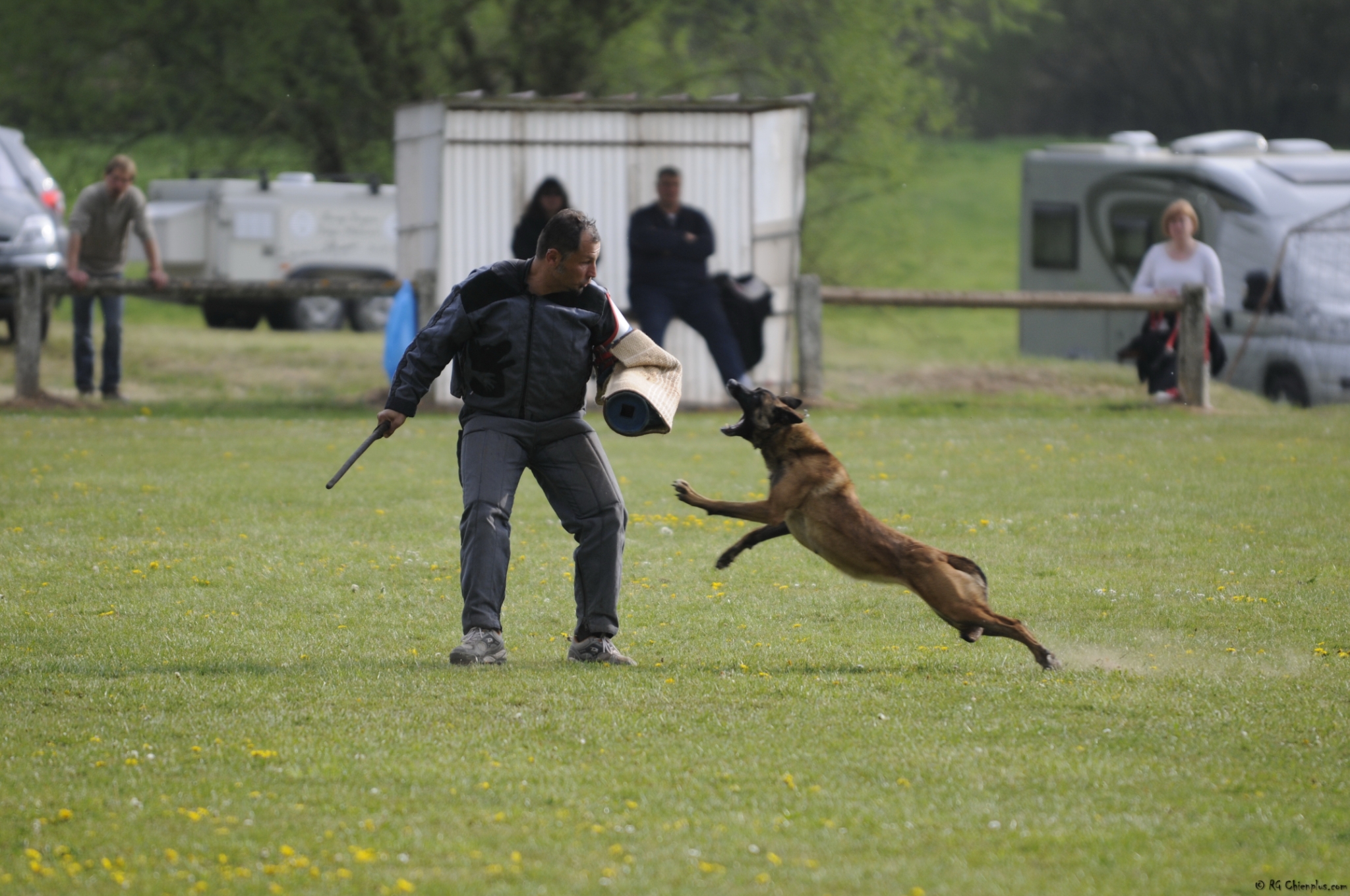 Finale rci 2014 dimanche 1284