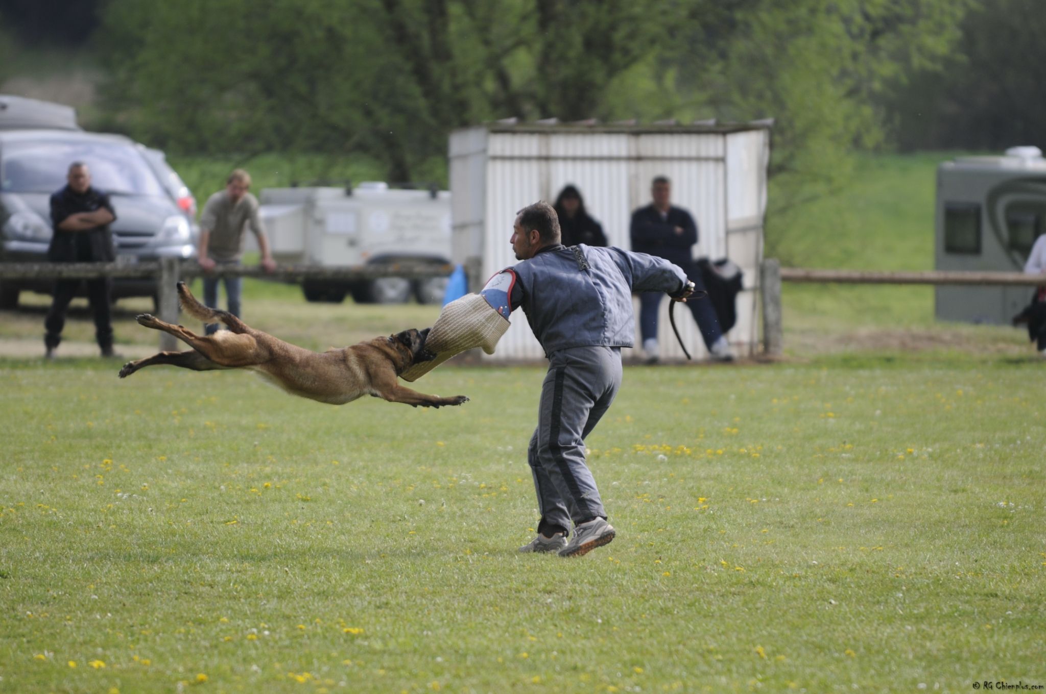 Finale RCI 2014 Dimanche 1286