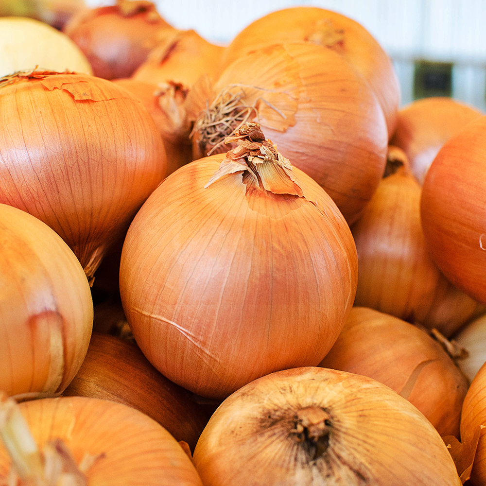 Les bons oignons pour chaque recette 14