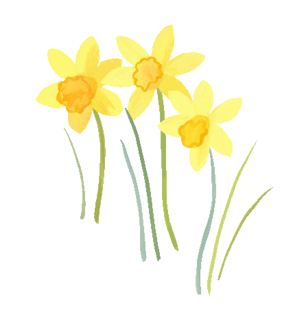 Garten11