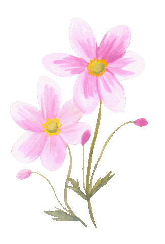 Garten10