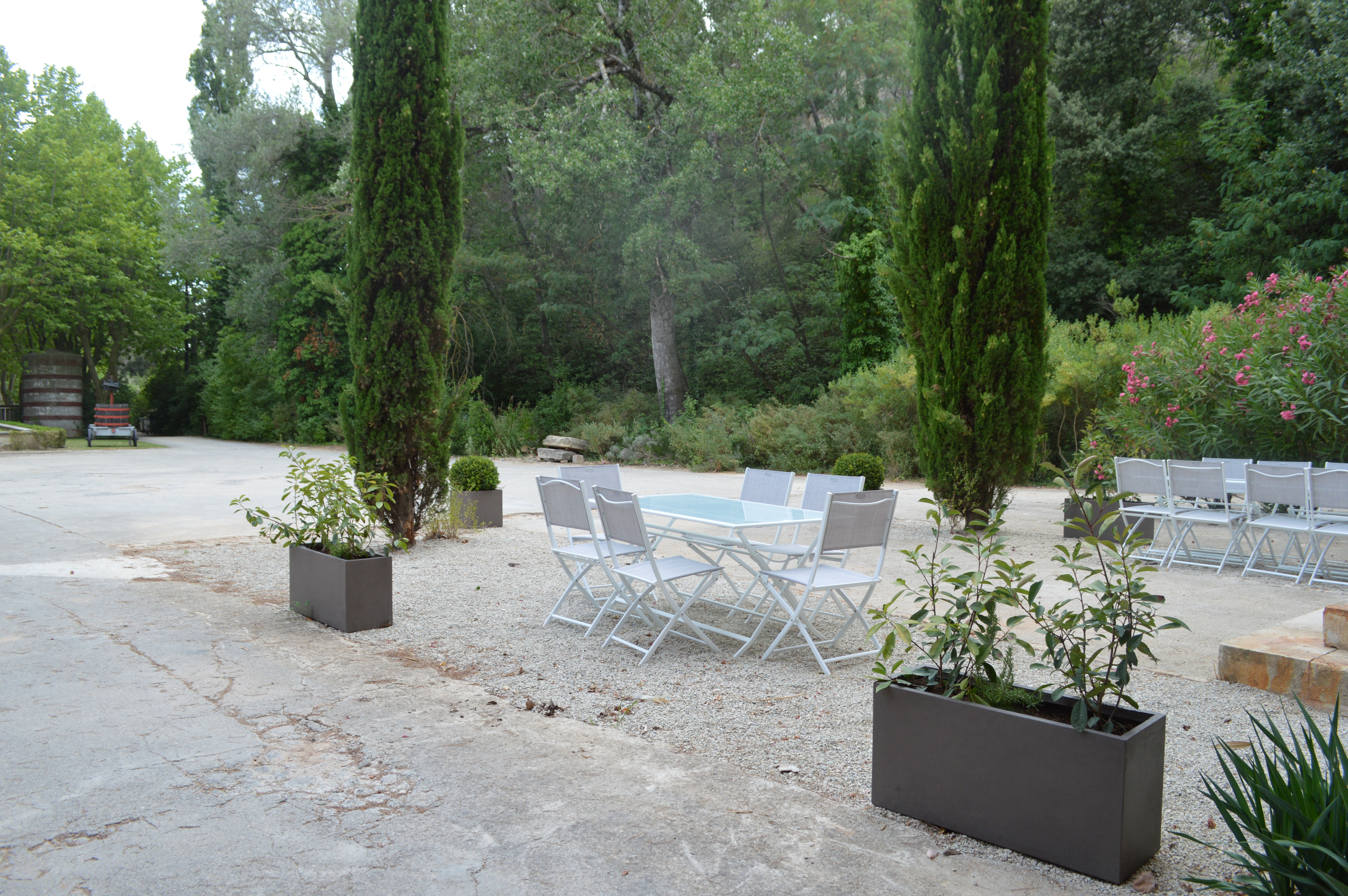 Terrasse tulipe
