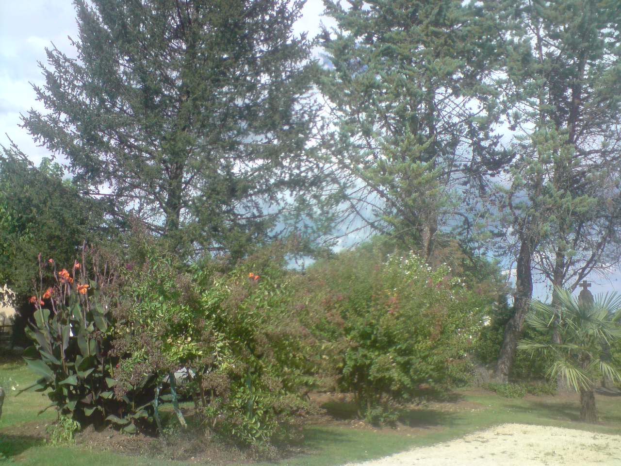 P050908 16 37 02 
