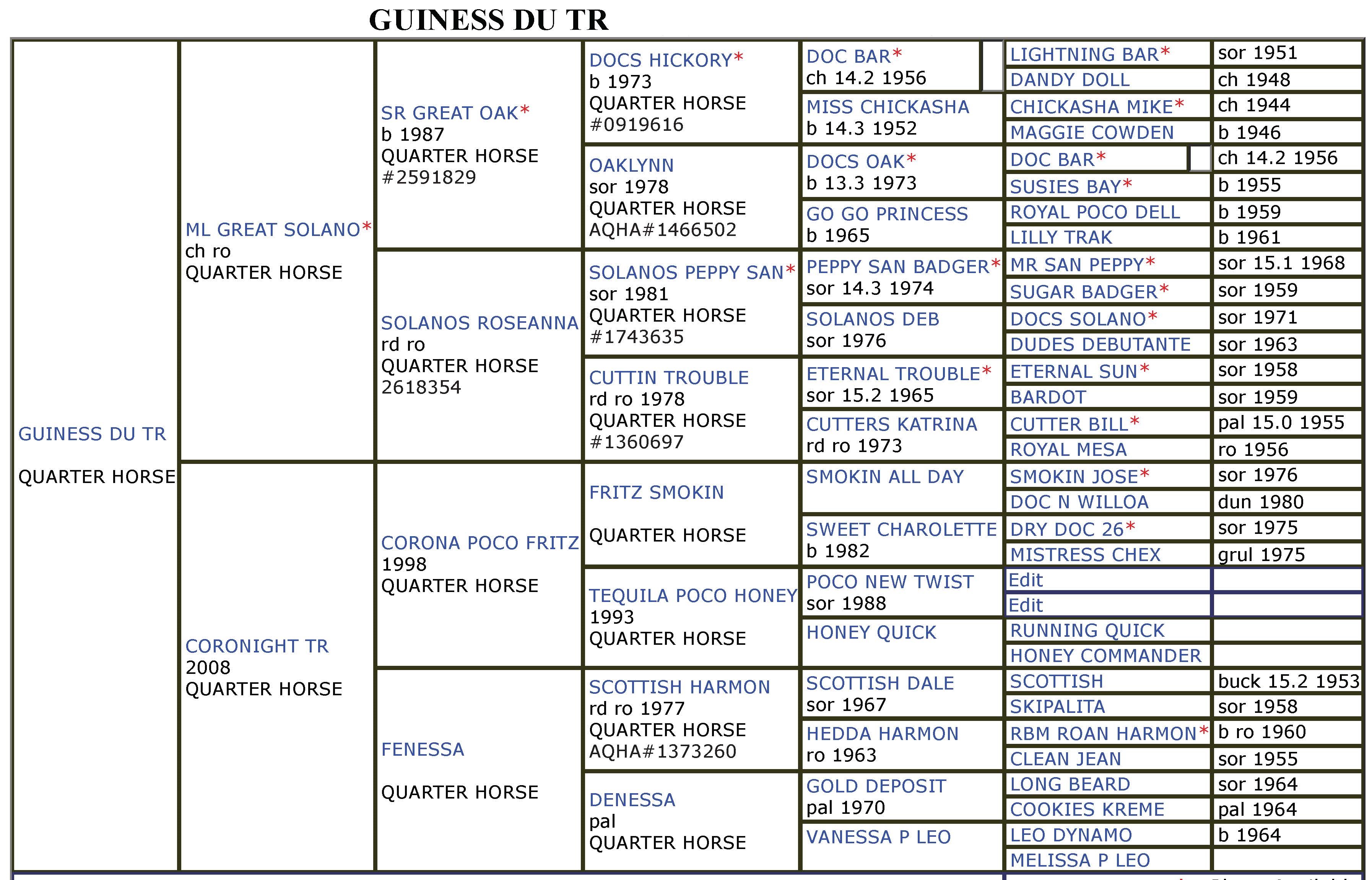 Guiness-Du-Tr-Quarter-Horse