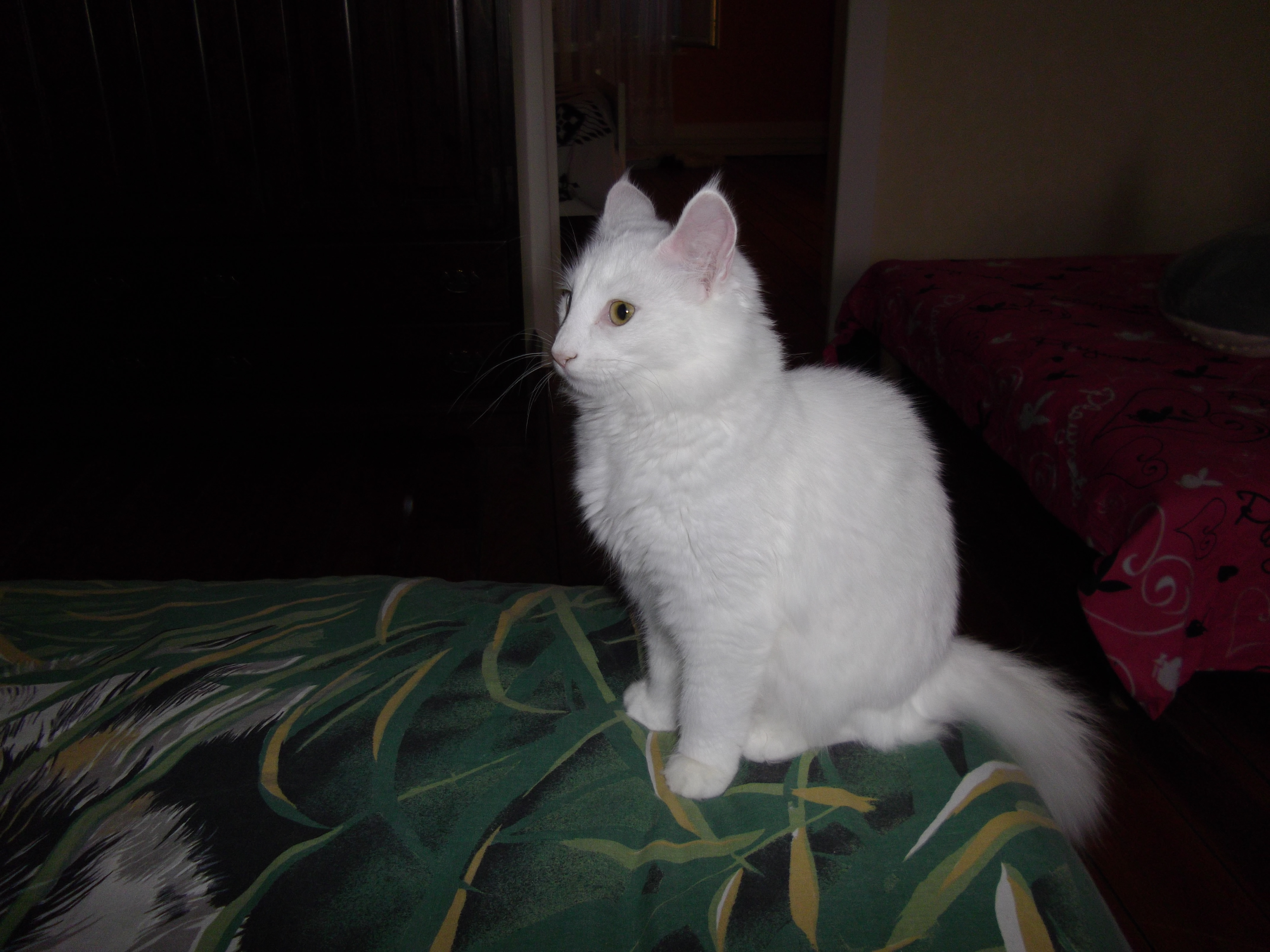 Imgp0207