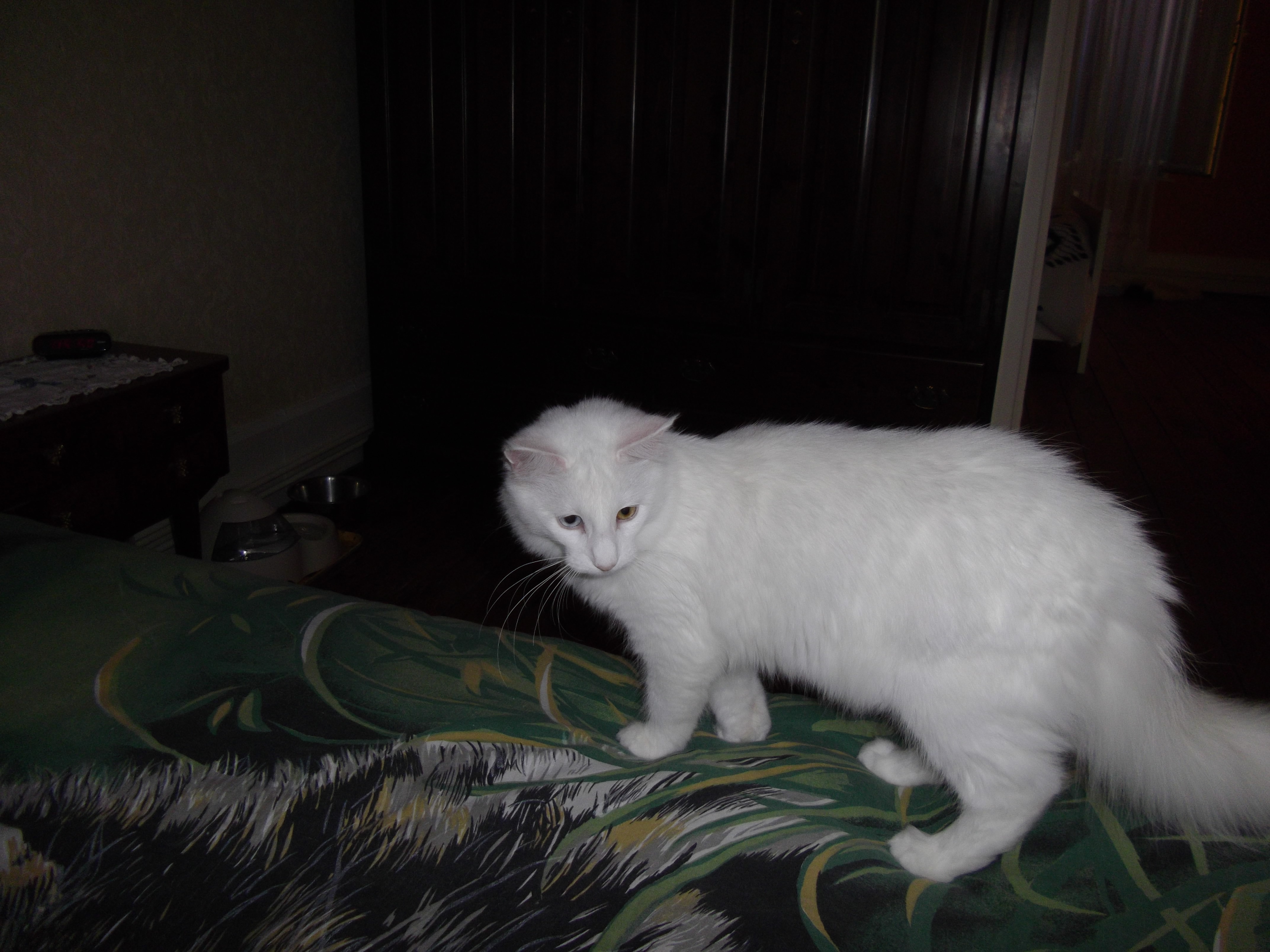 Imgp0209
