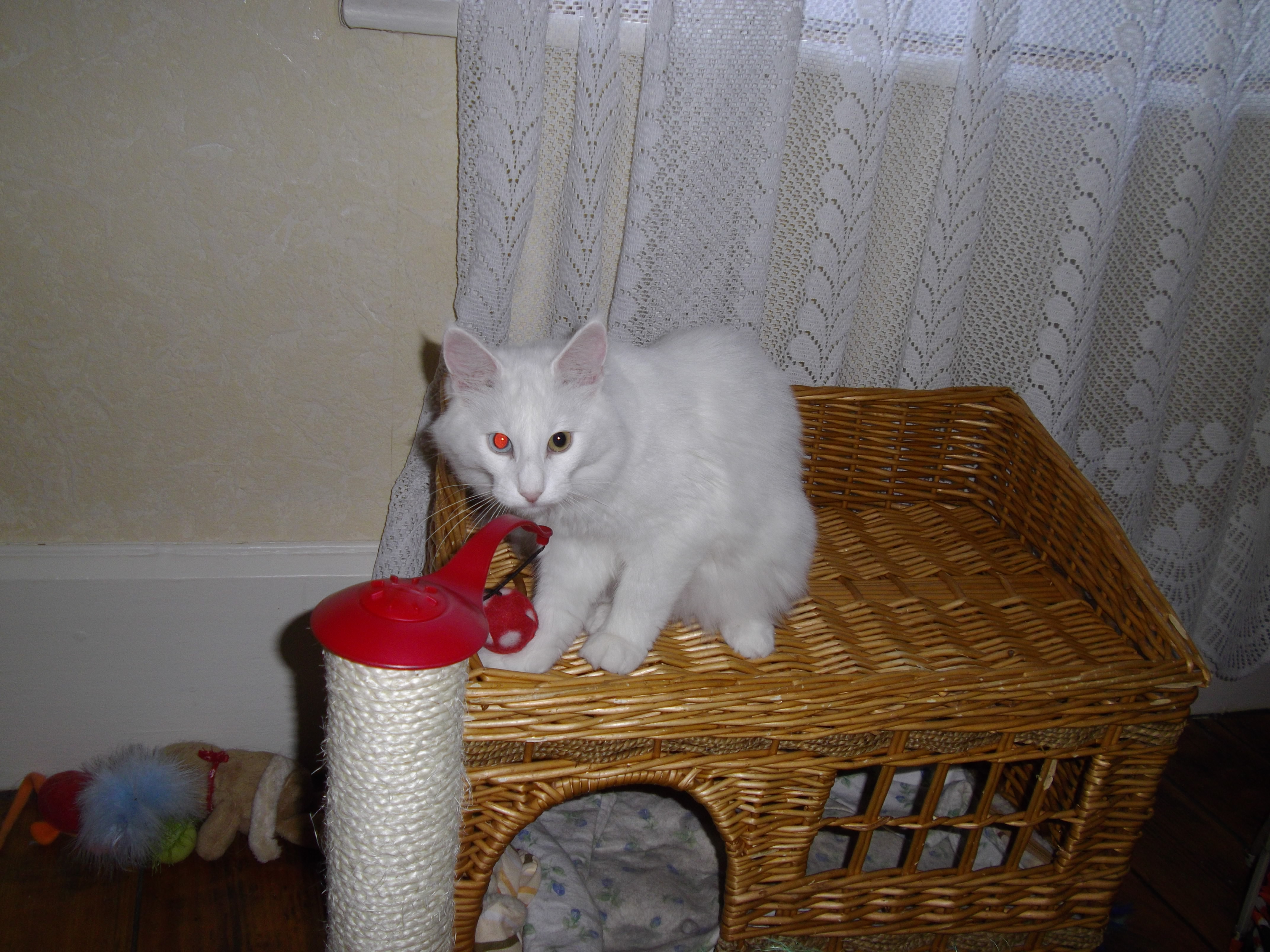 Imgp0229