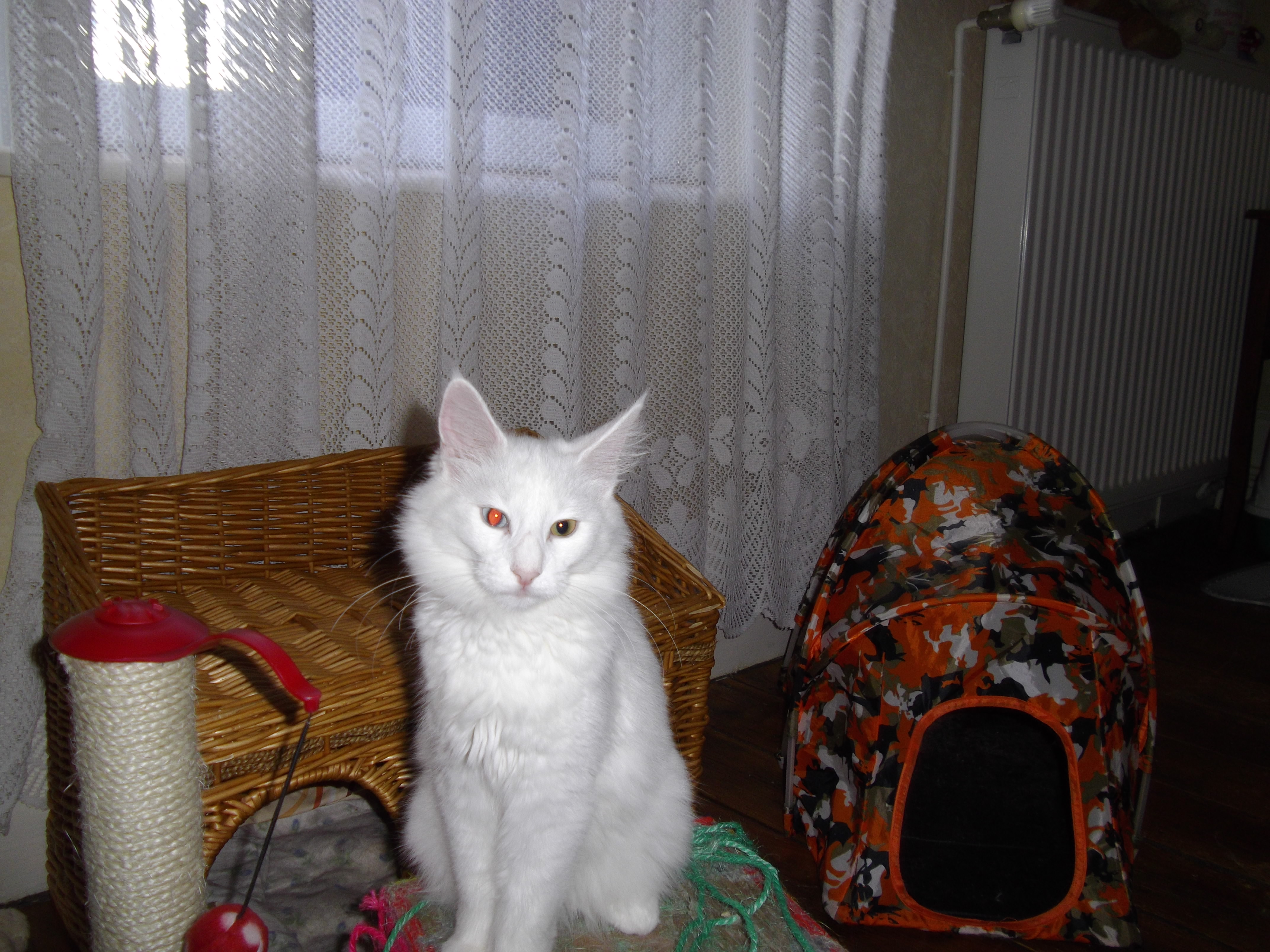 Imgp0244