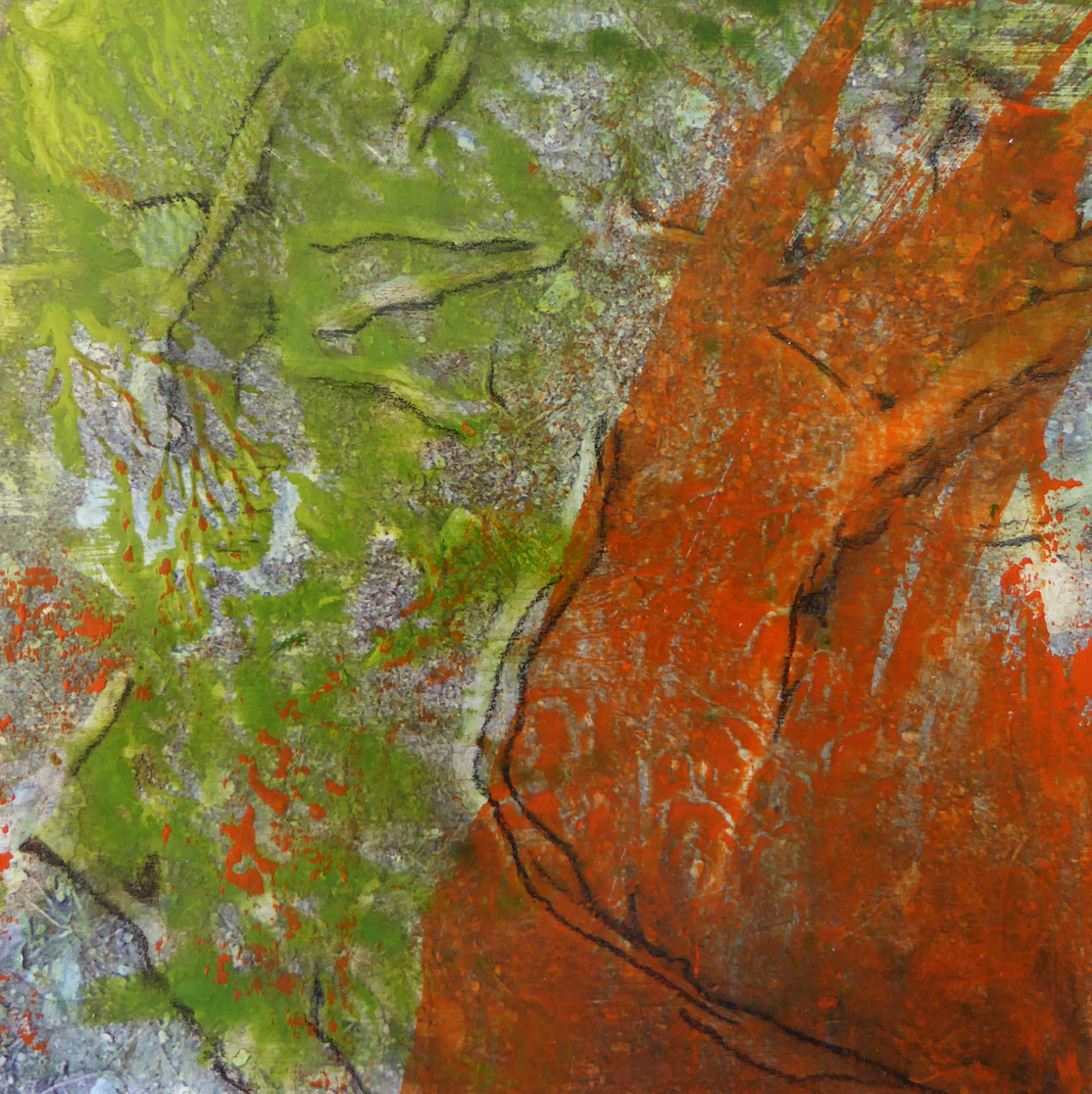 9 racines iii verbier