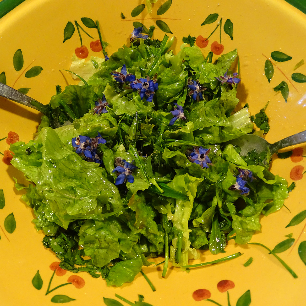 Salade fleurie