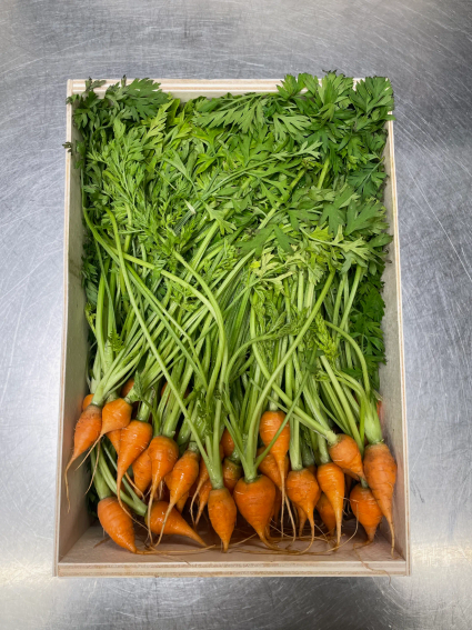 carottes locales bio et de saison