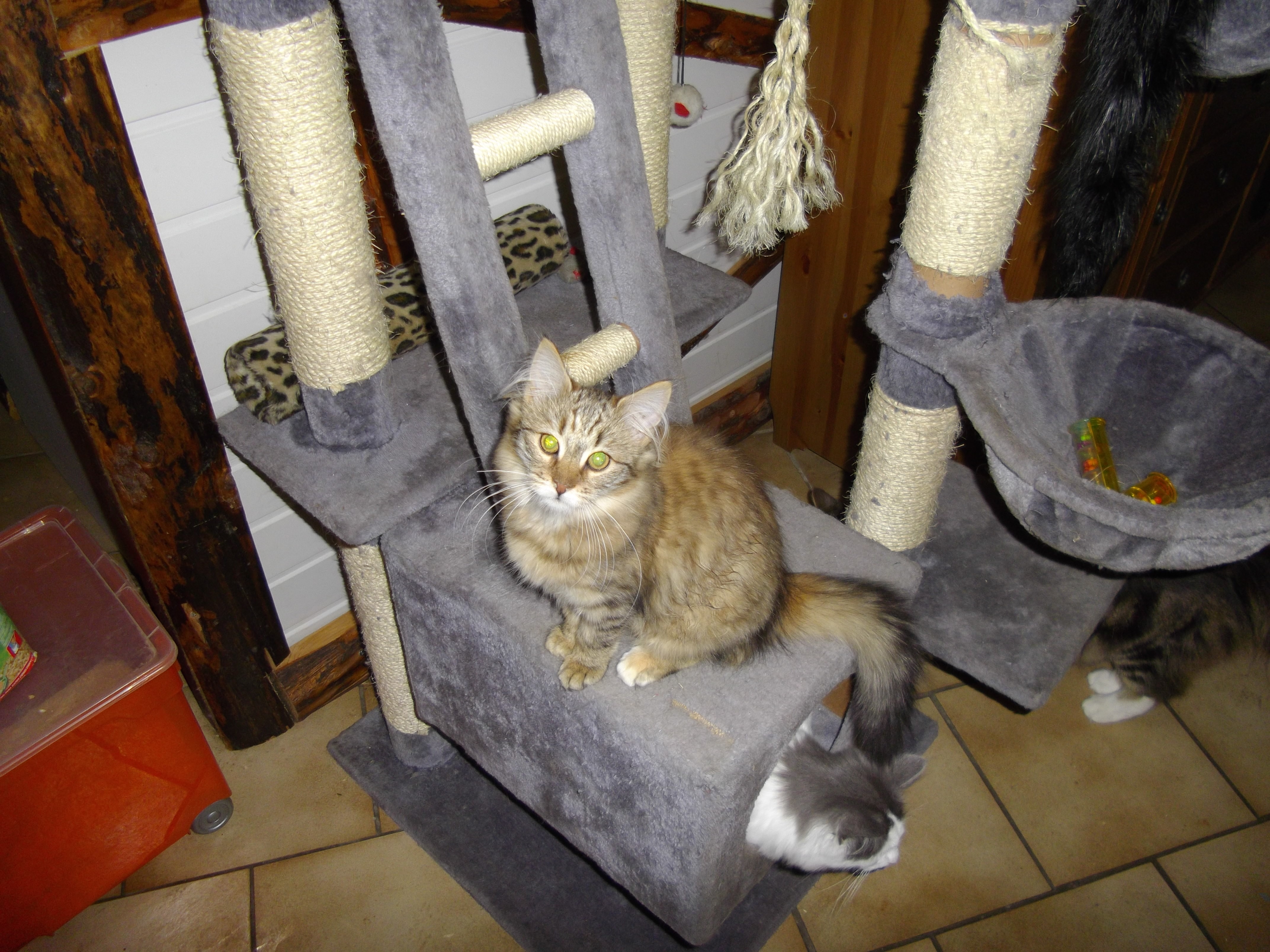 Imgp0607