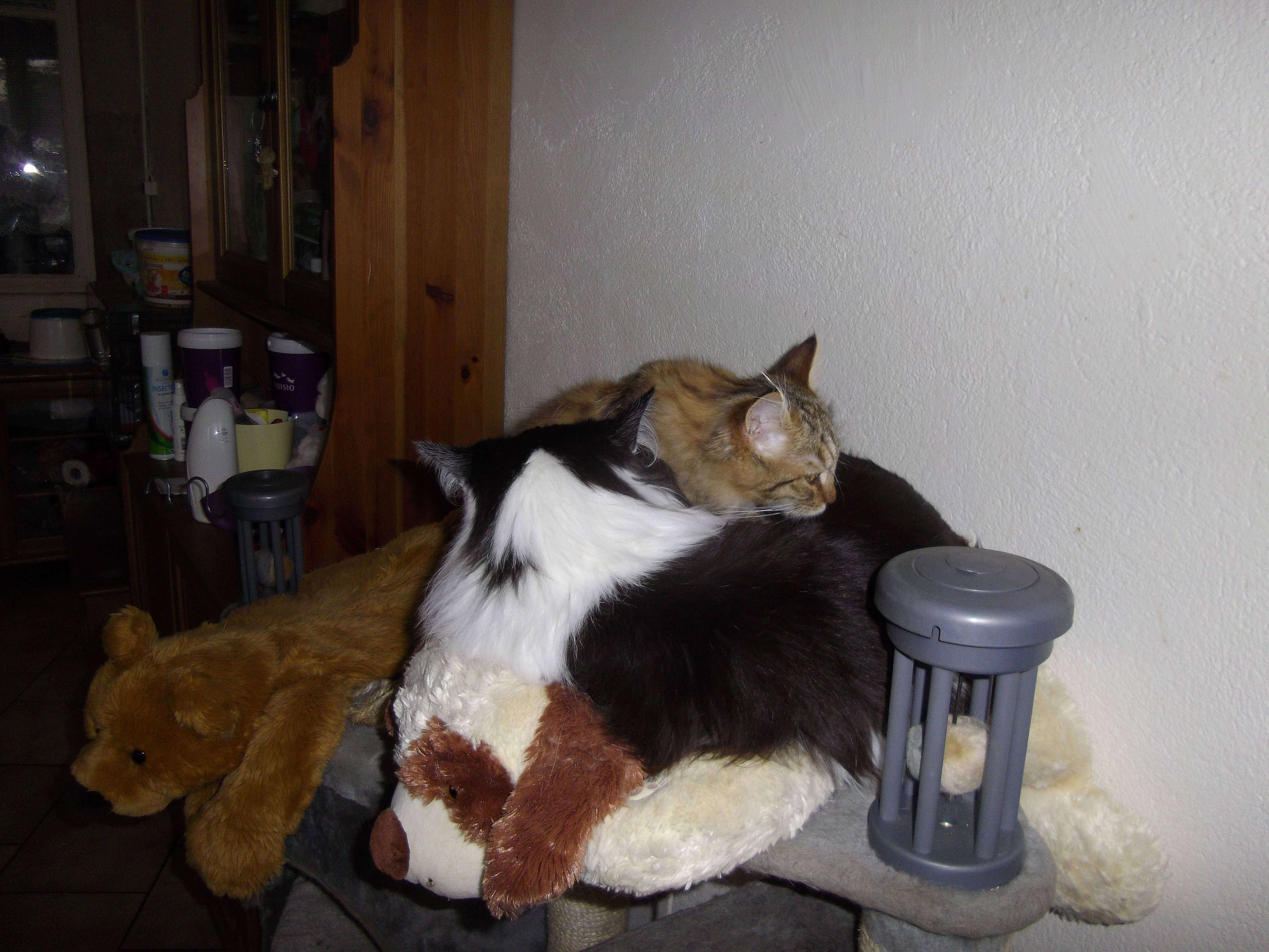 Imgp0671