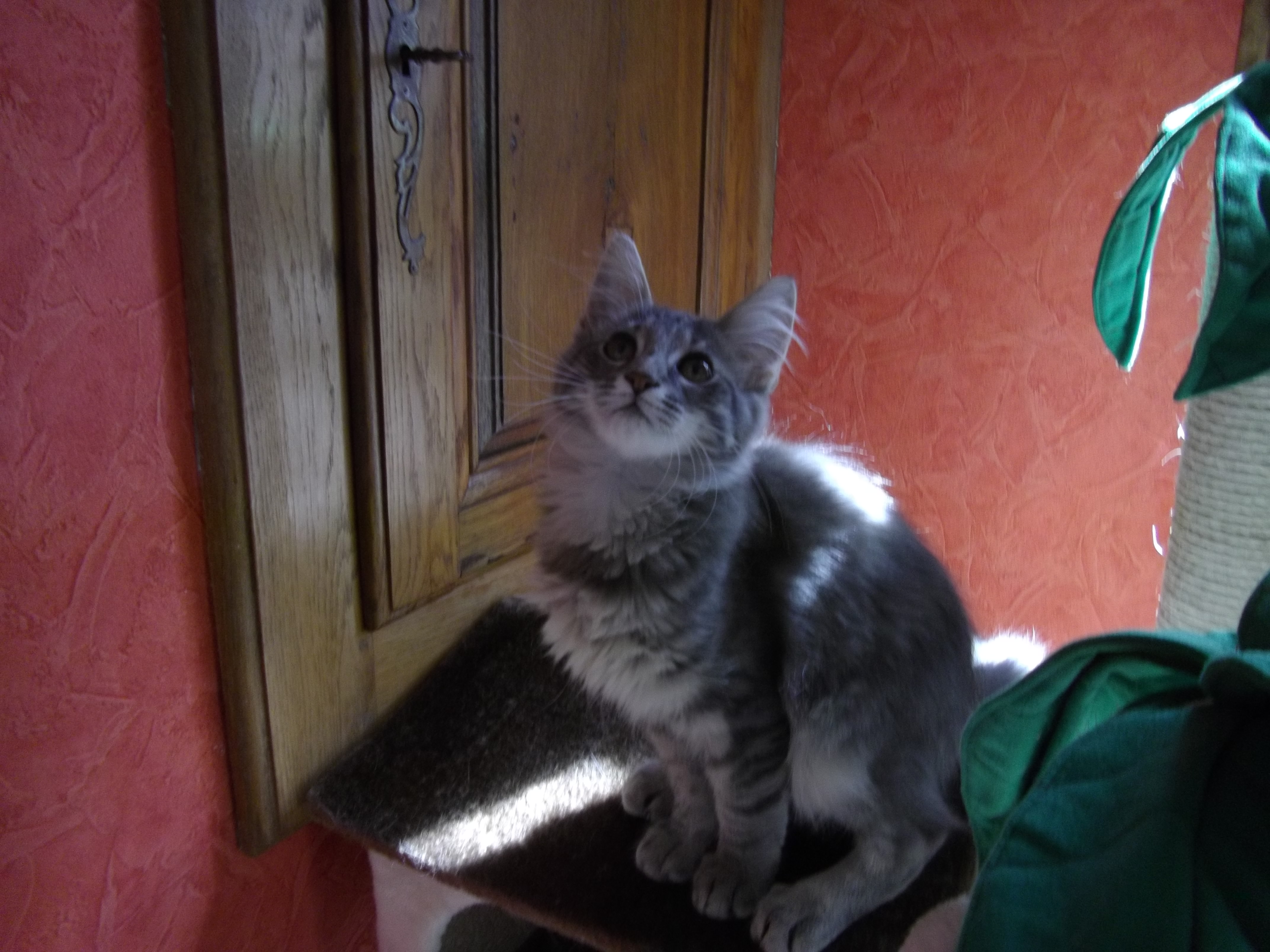 Imgp0307