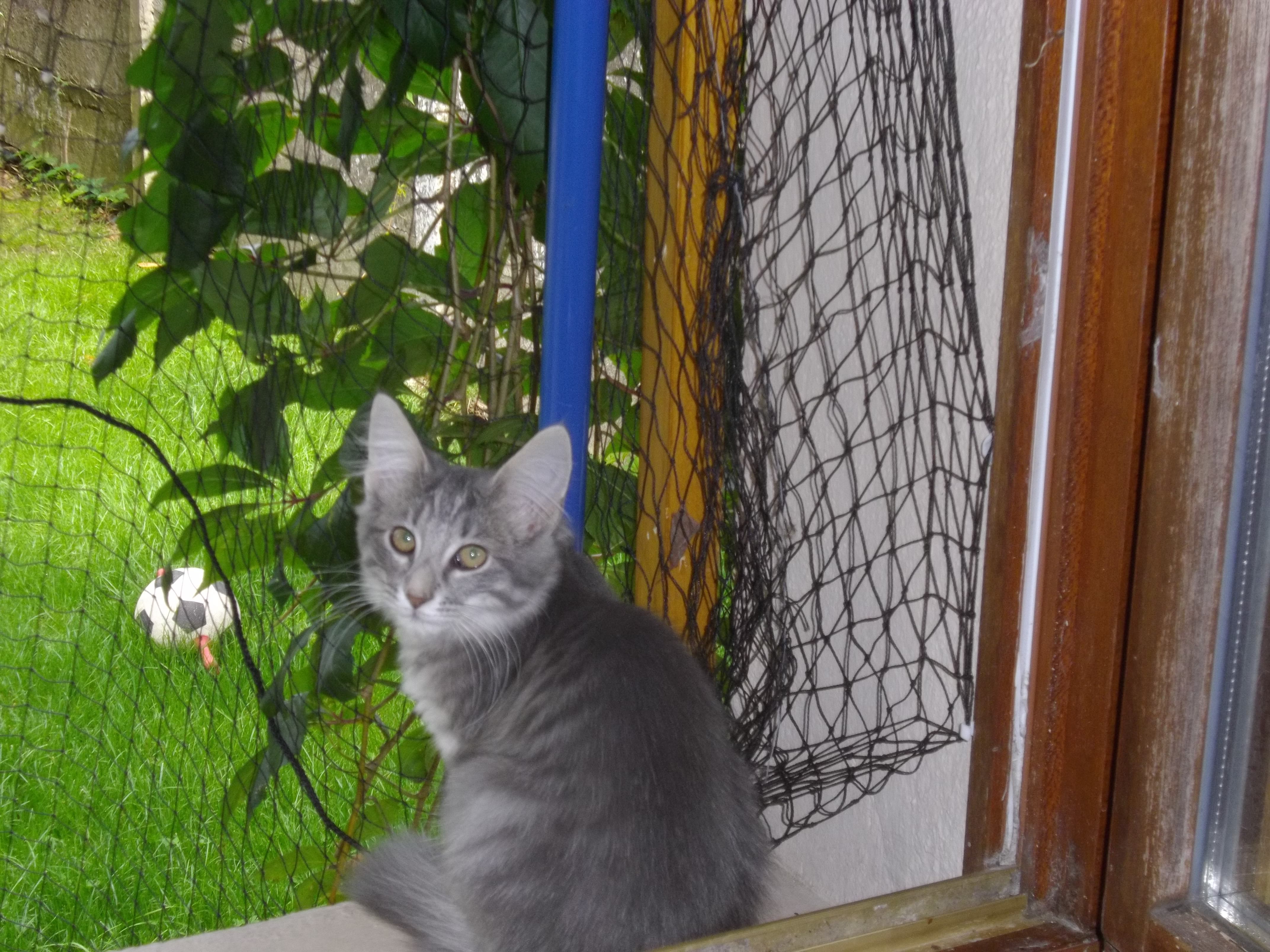 Imgp0375