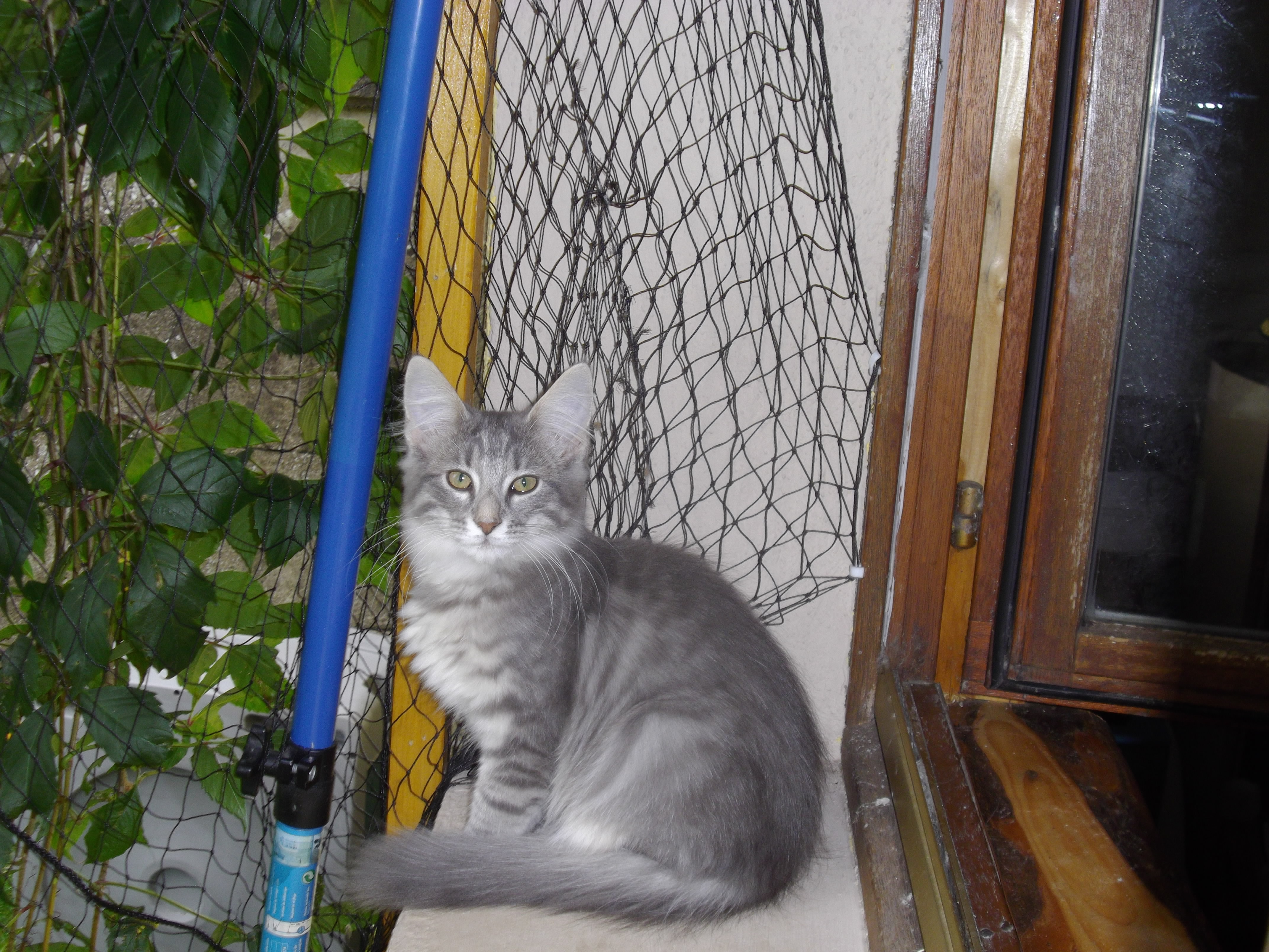 Imgp0384