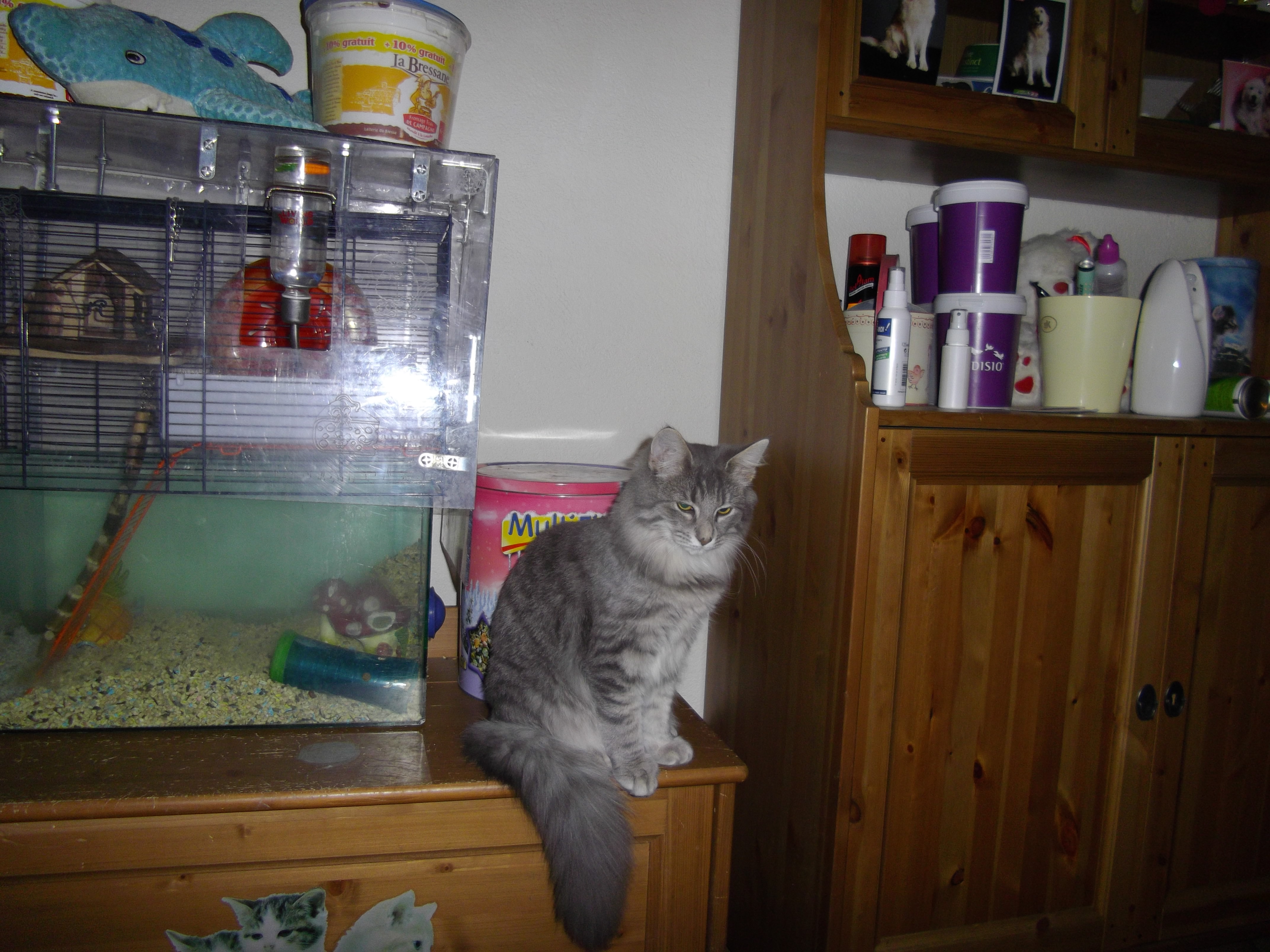 Imgp0624
