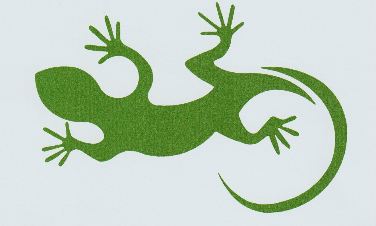 Logo-Lezard