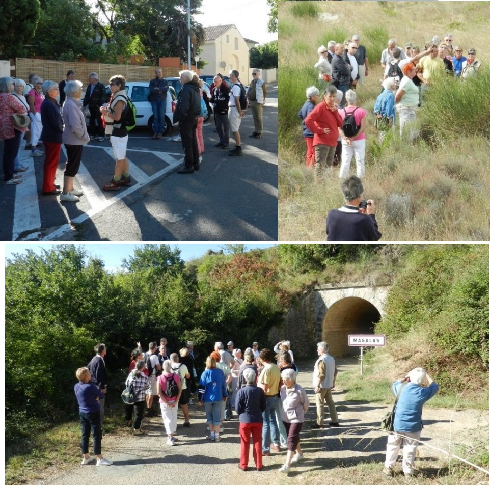 VaM journees du Patrimone 2013
