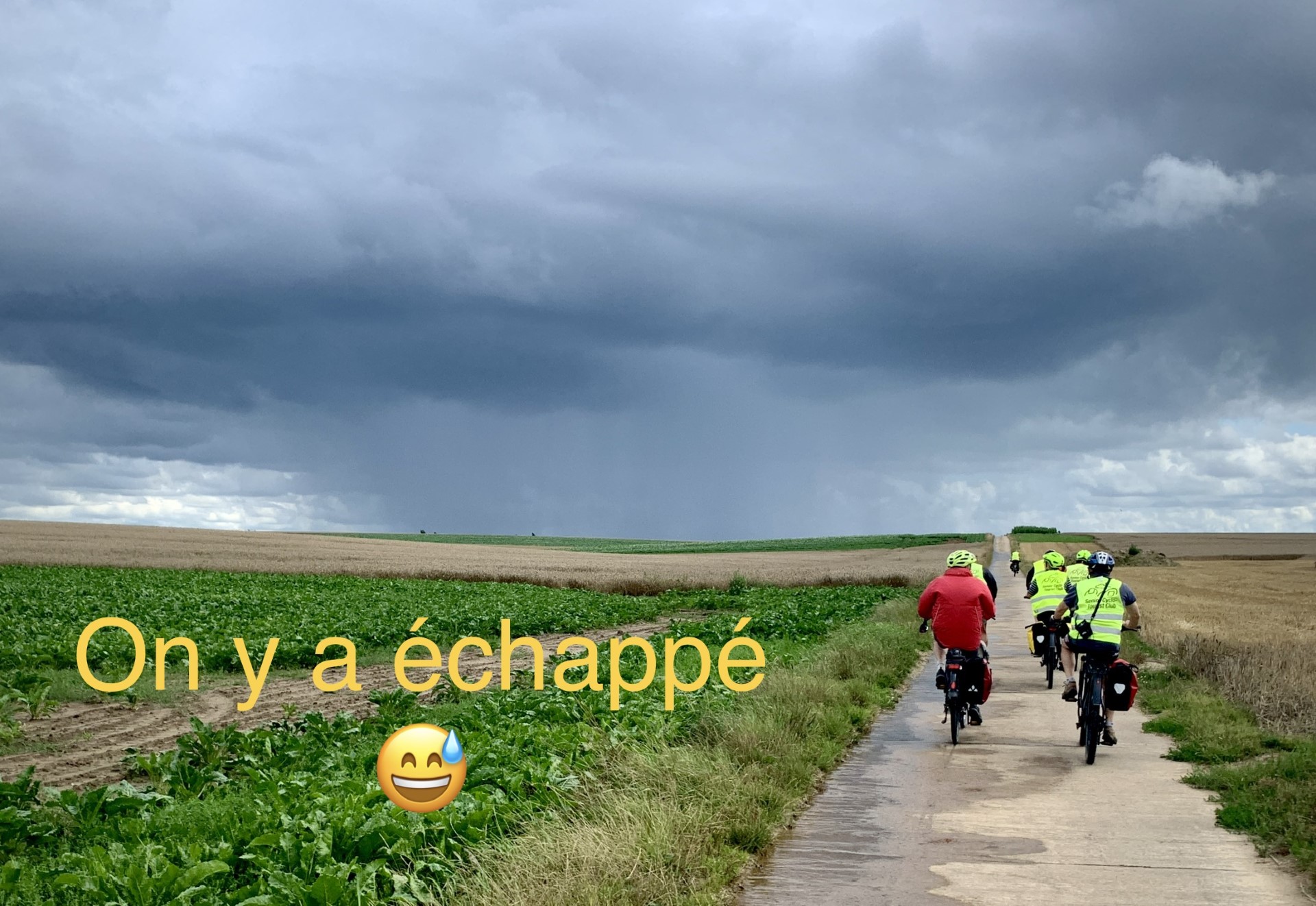 Thumbnail img 2379