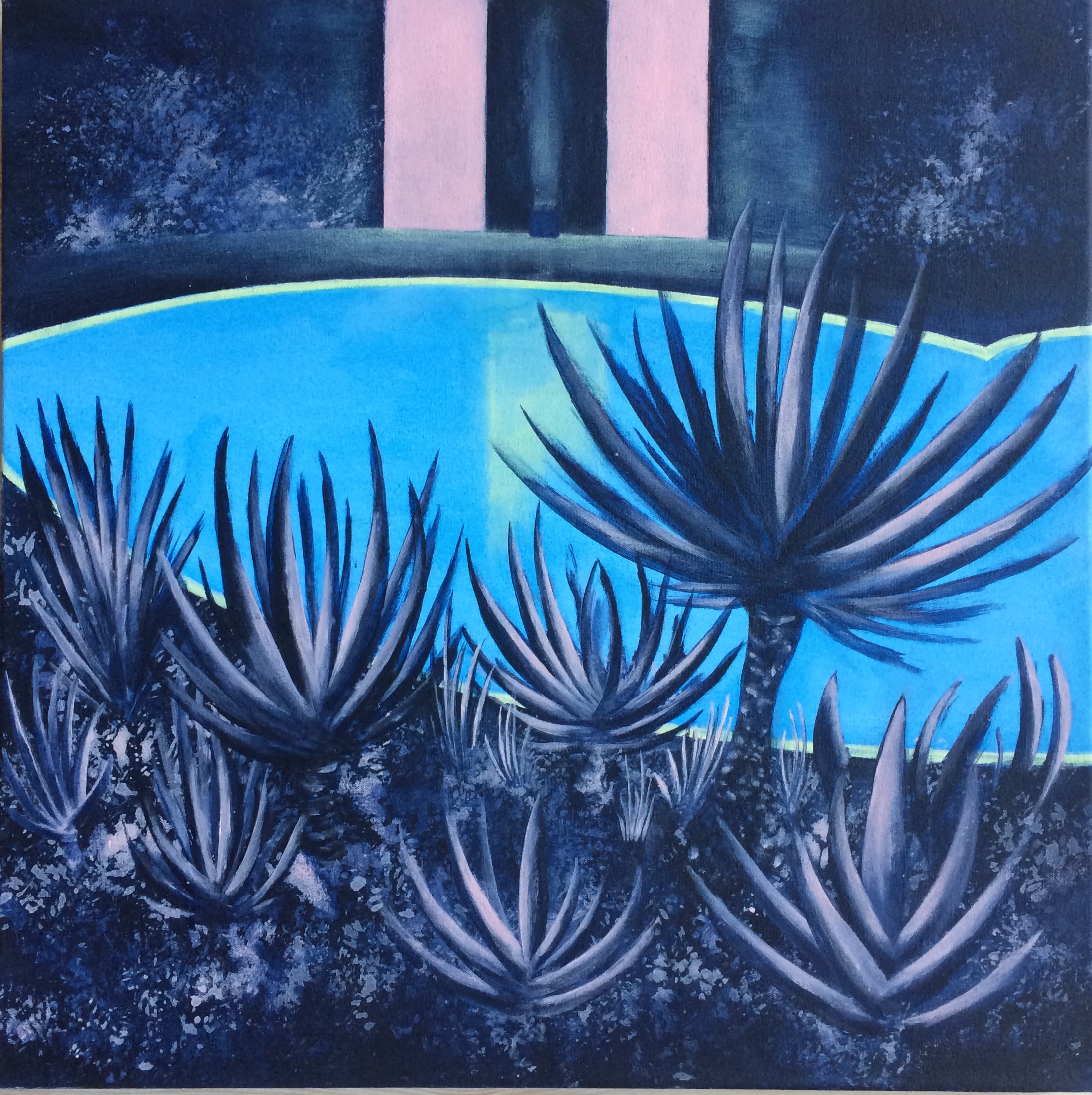 09 silent pool img 1105