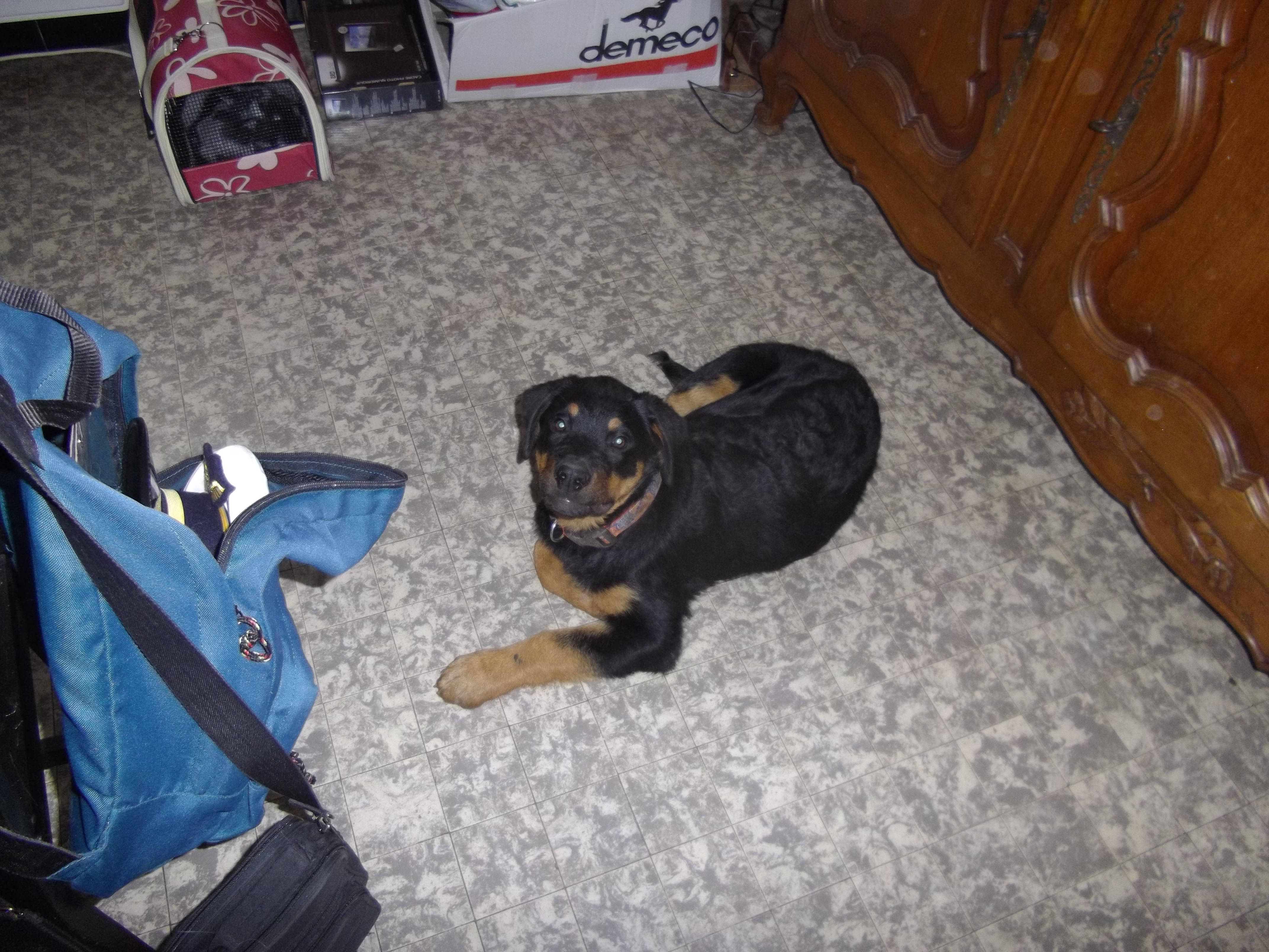 Imgp0534