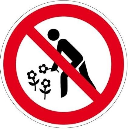 Interdiction-cueillette-fleurs