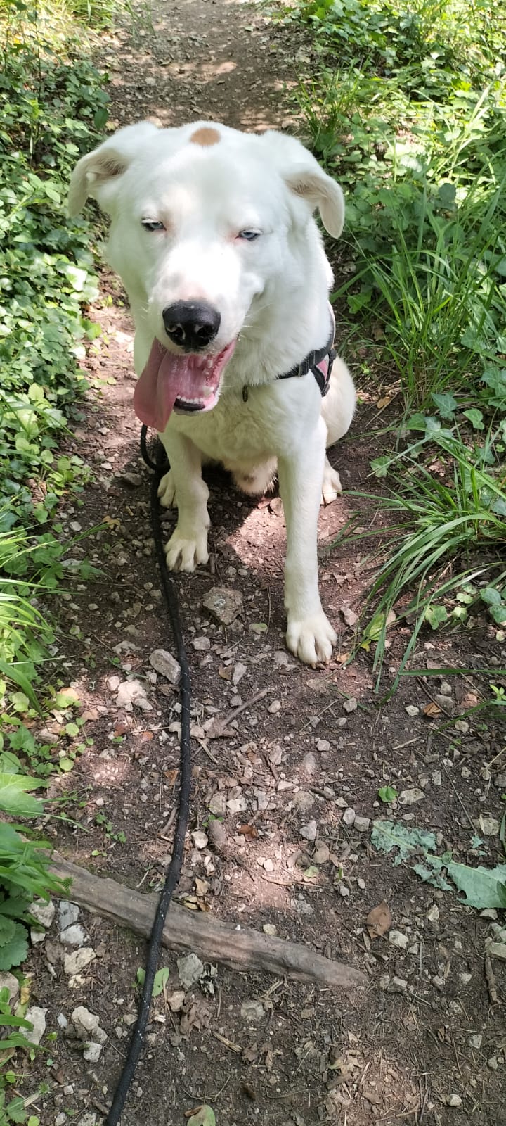 Whatsapp image 2025 06 09 at 19 46 09 1 