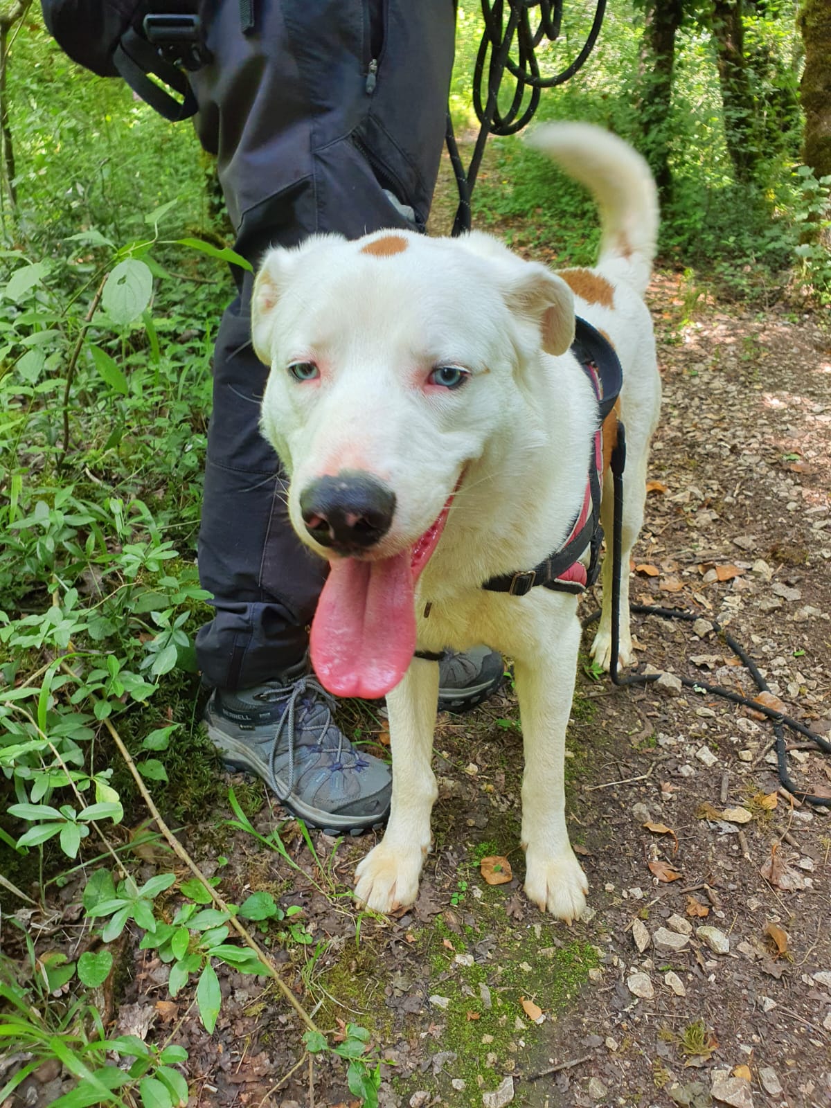 Whatsapp image 2025 06 09 at 15 41 08