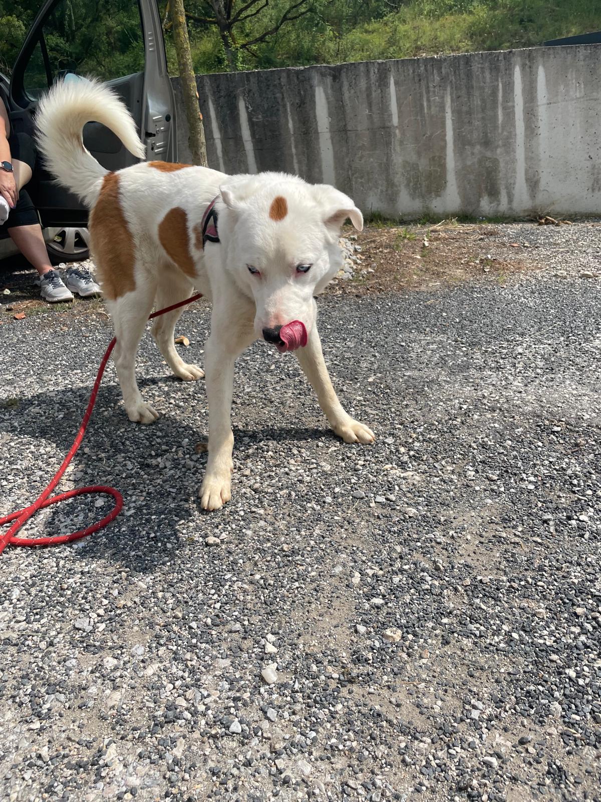 Whatsapp image 2025 06 08 at 17 20 54